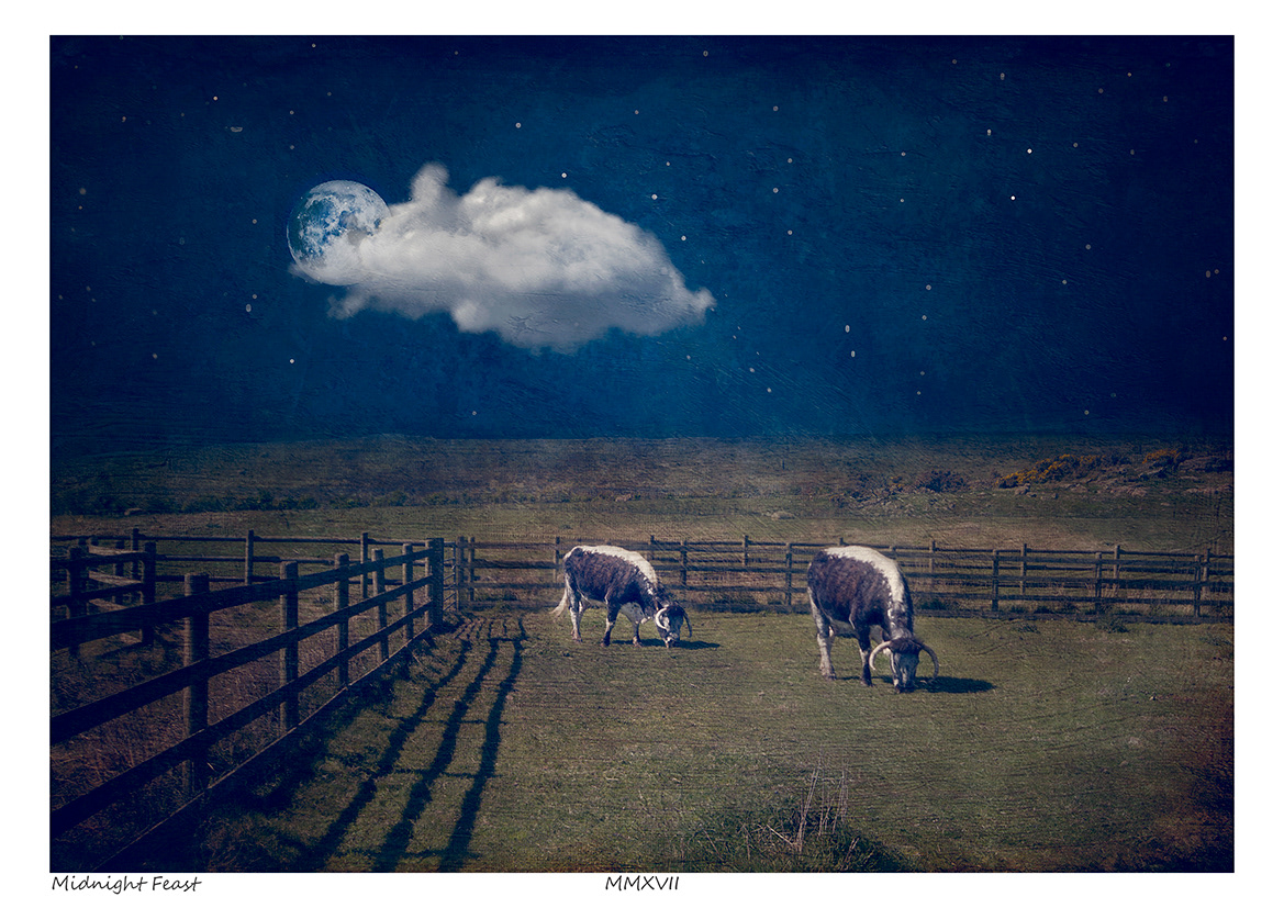 Midnight Feast (Doonies Farm Art)