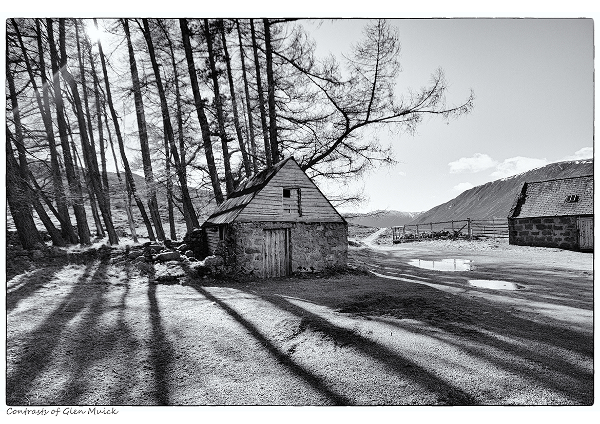 Contrasts of Glen Muick (Cairngorms, Aberdeenshire)