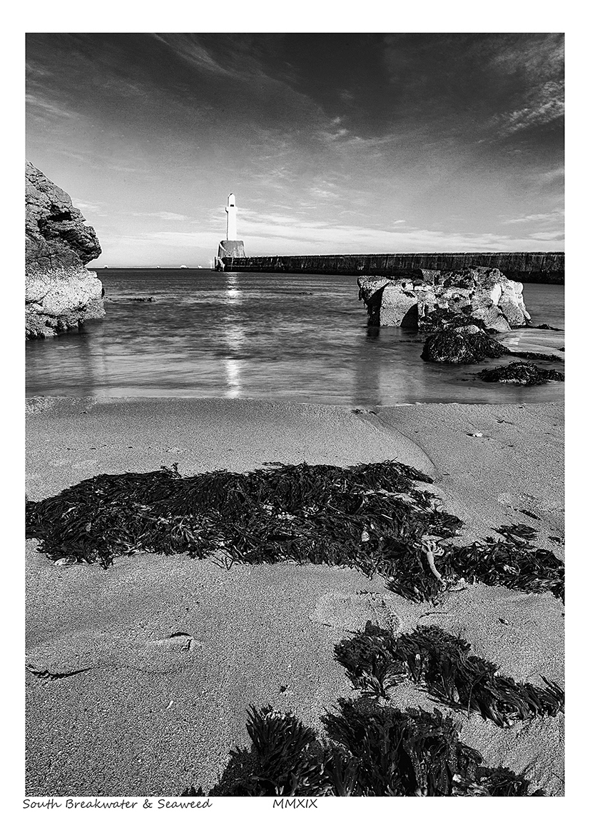 South Breakwater & Seaweed (Aberdeen)