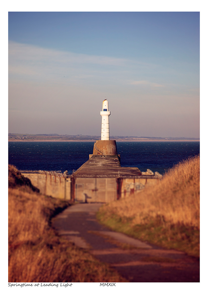 Springtime at Leading Light (Aberdeen)
