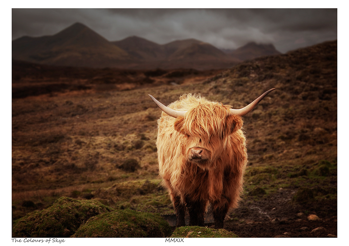 The Colours of Skye