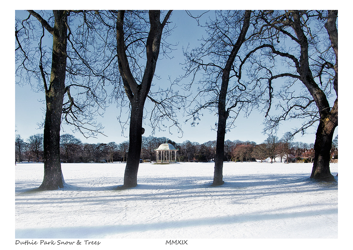 Duthie Park Snow & Trees (Aberdeen)