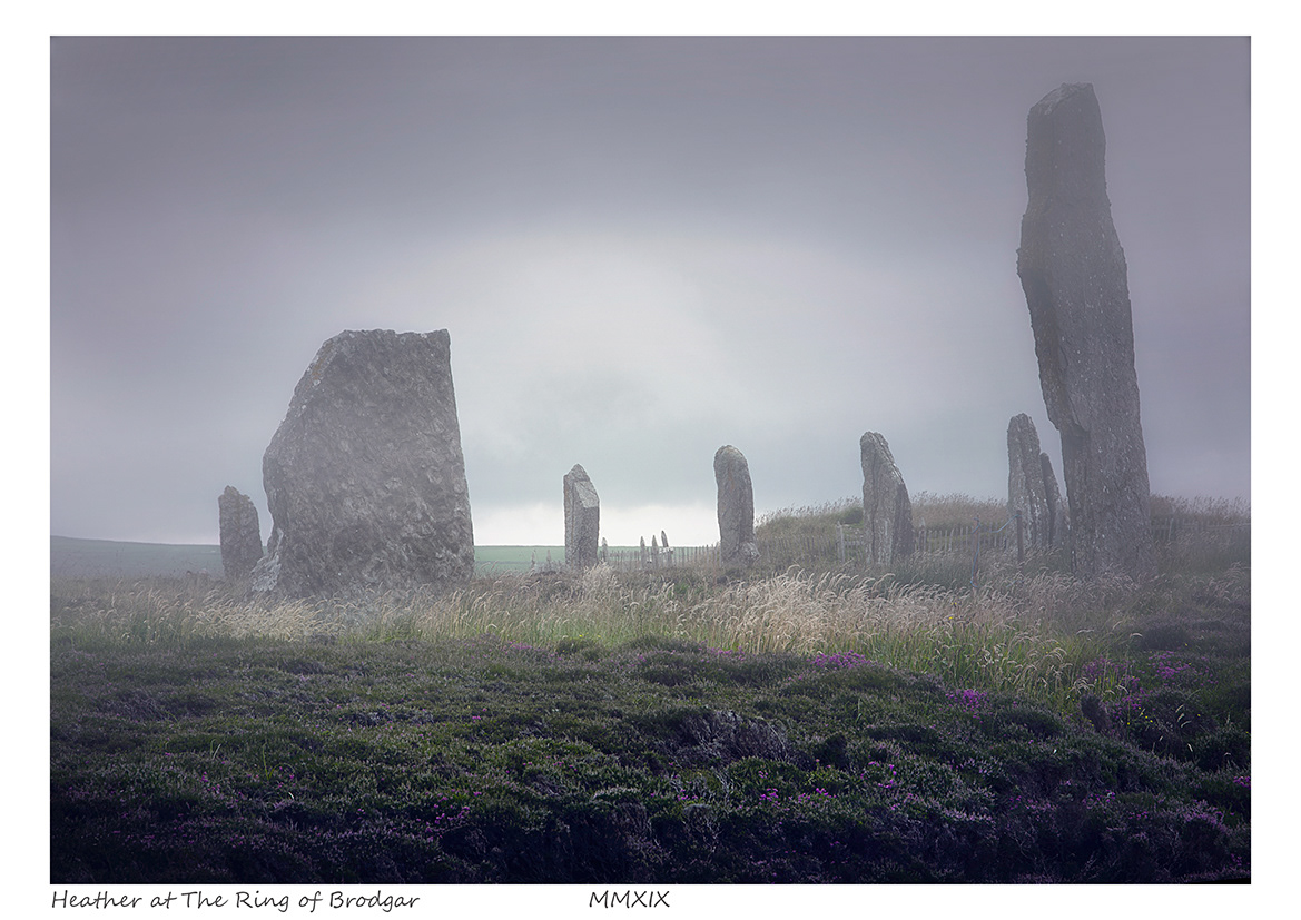 Heather at the Ring of Brodgar