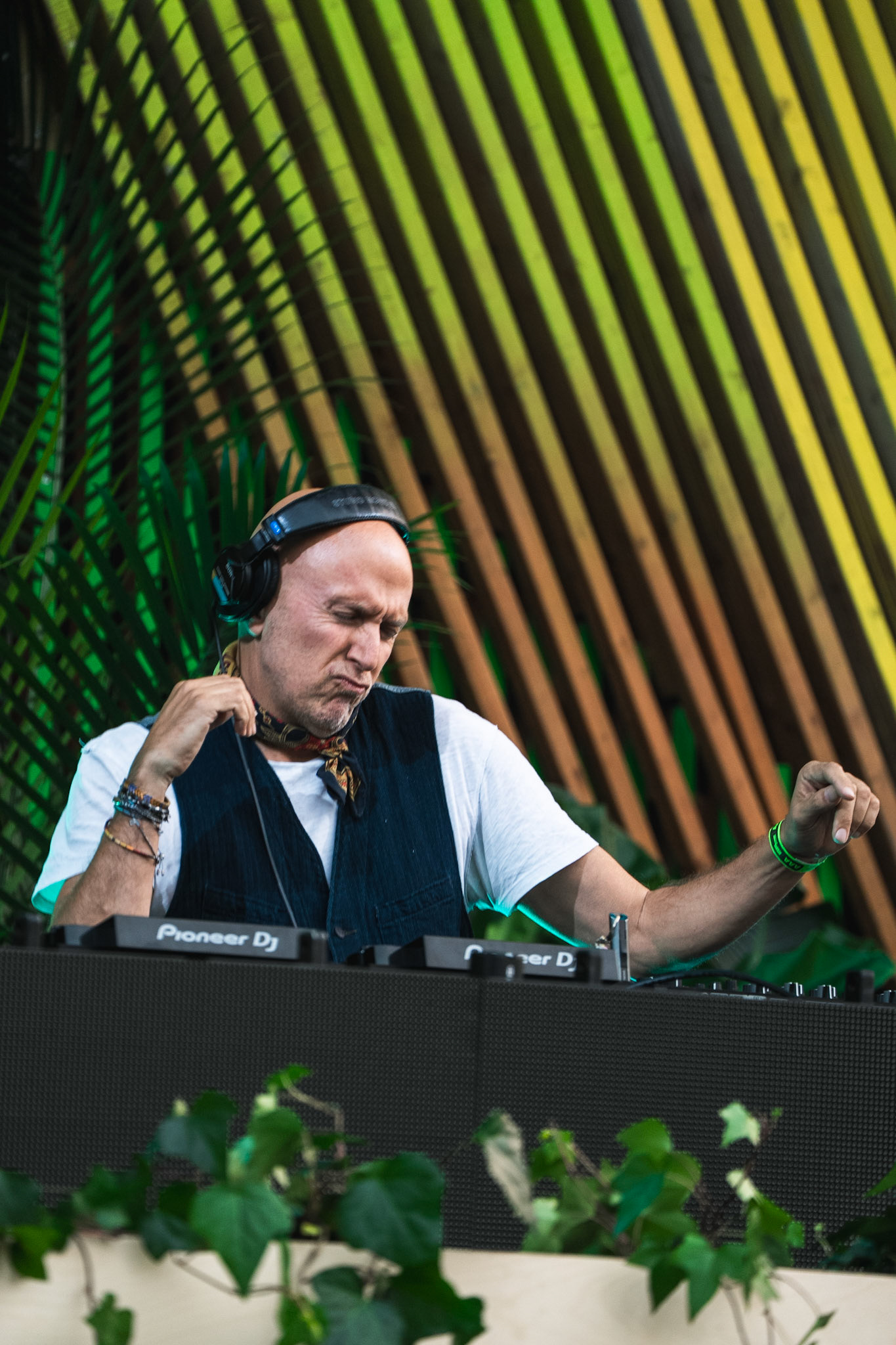 PIKNIC ELECTRONIK 2025