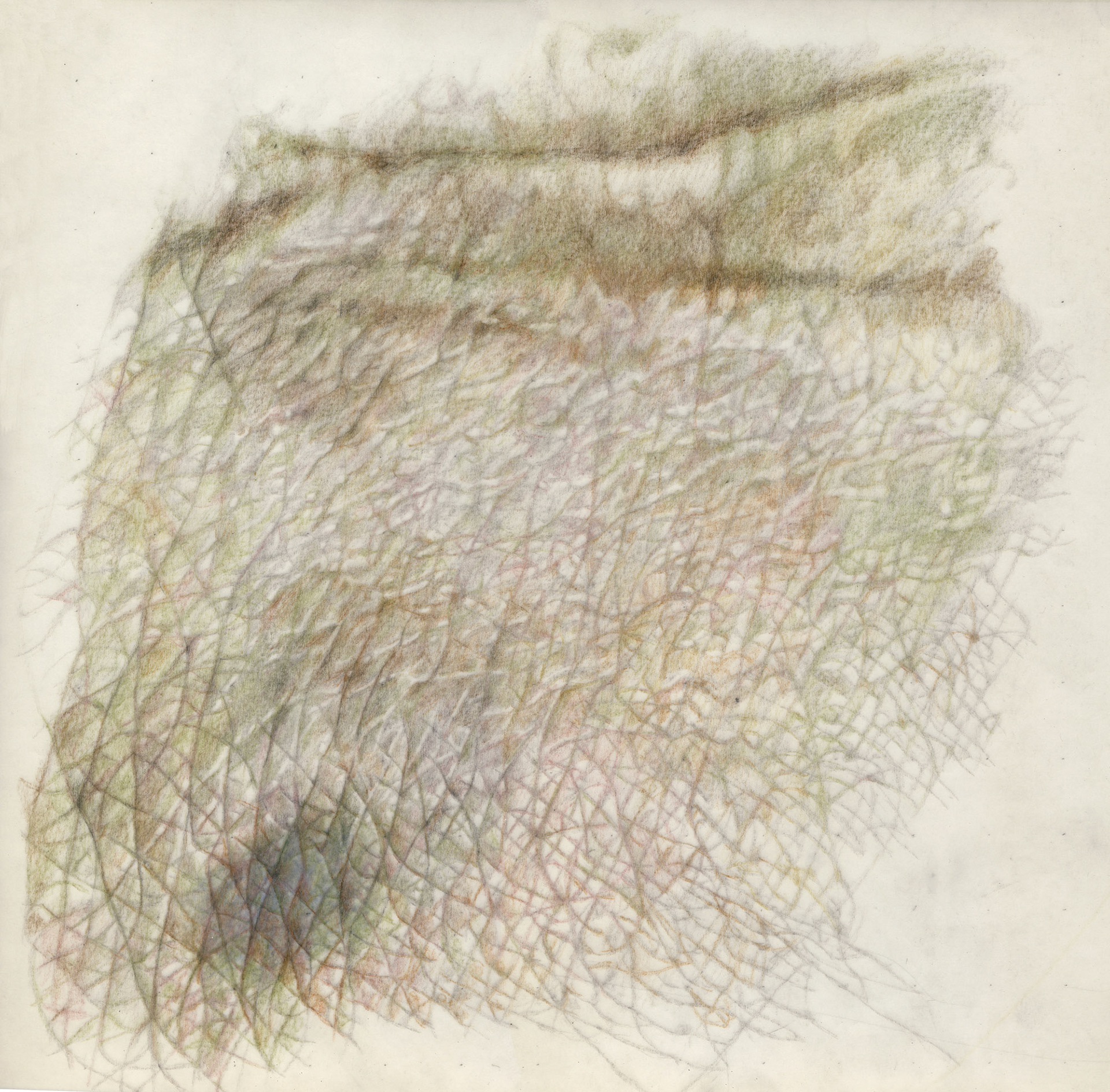 Untitled, colored pencil on two layers of tracing paper, 42 x 59 cm, 2012  (in private collection)