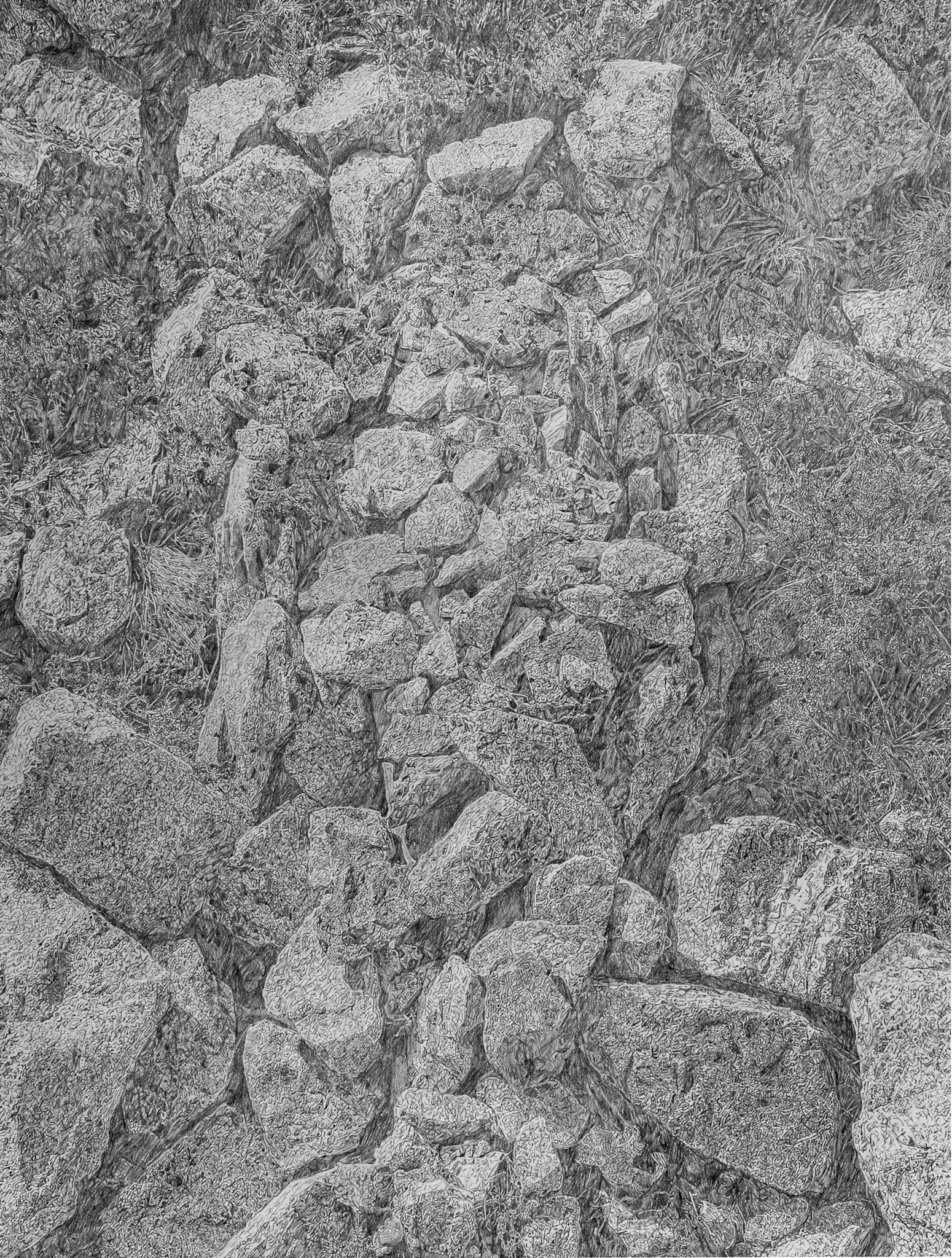 Covered (mountain rocks) - detail, graphite on paper, 320 x 220 cm,  2020 (in private collection) 