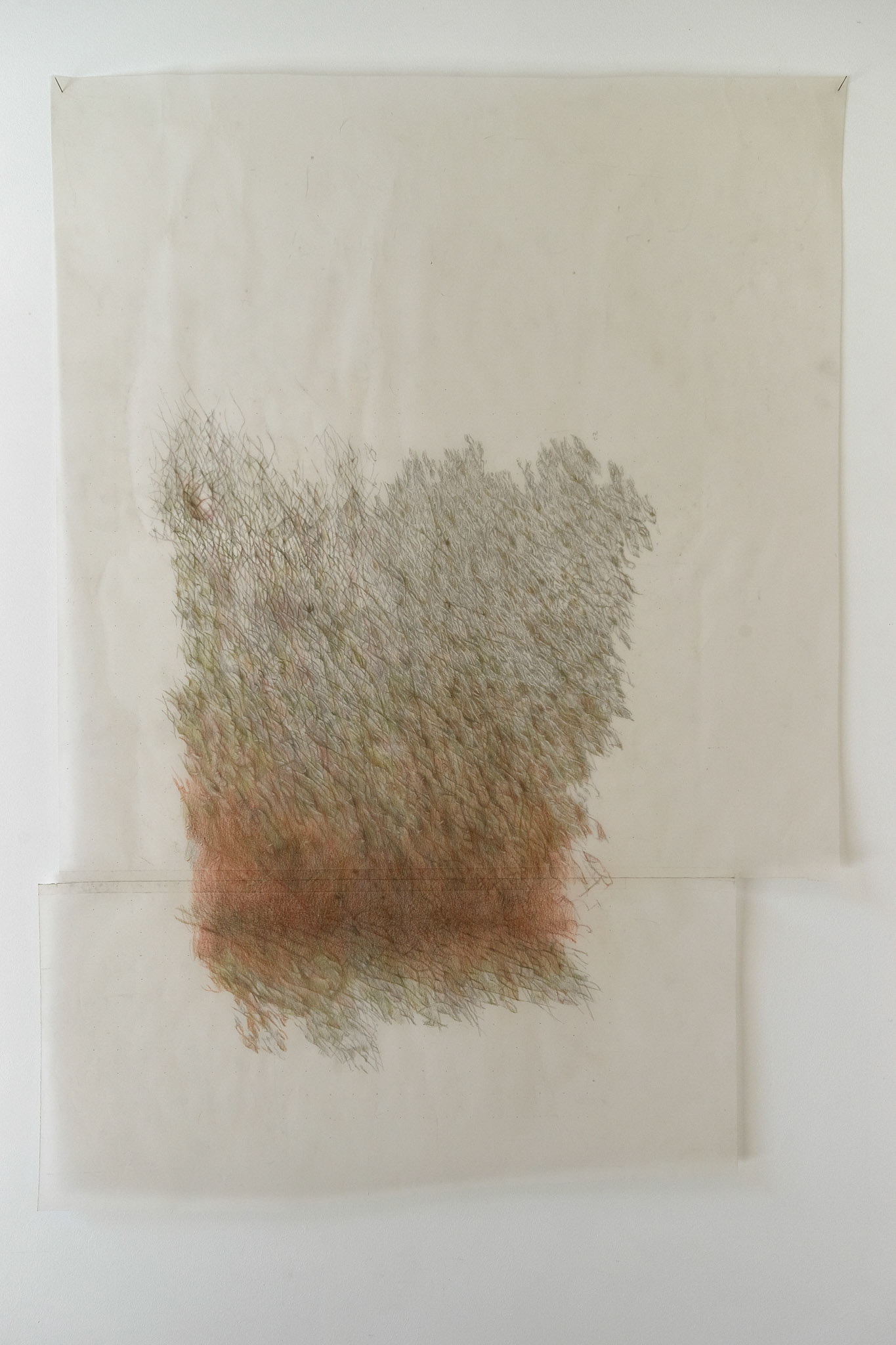 Untitled, colored pencil on tracing paper, 92,5 x 68 cm, 2012  (in private collection)
