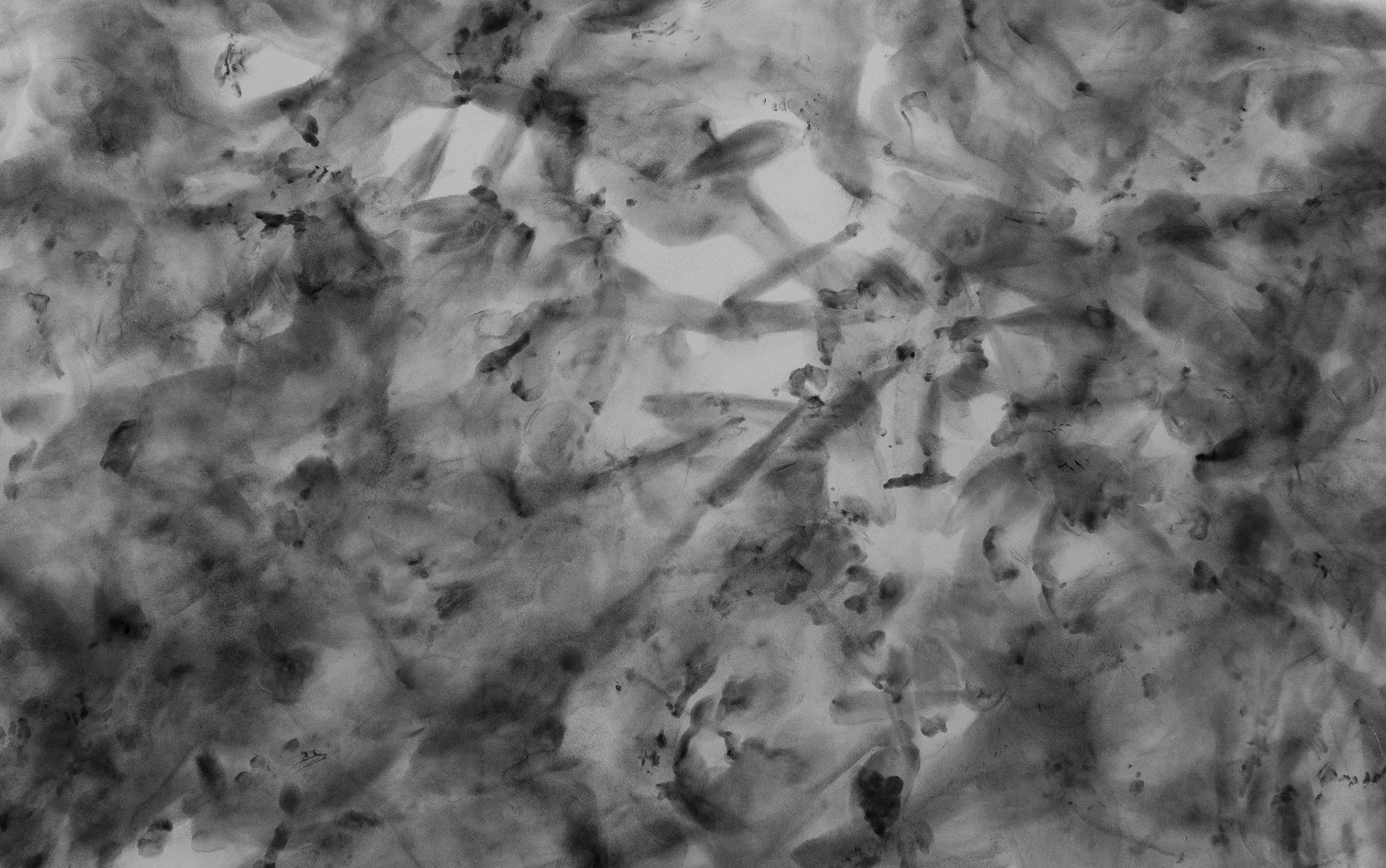 Untitled - detail, graphite on paper, 220 x 583 cm, 2019