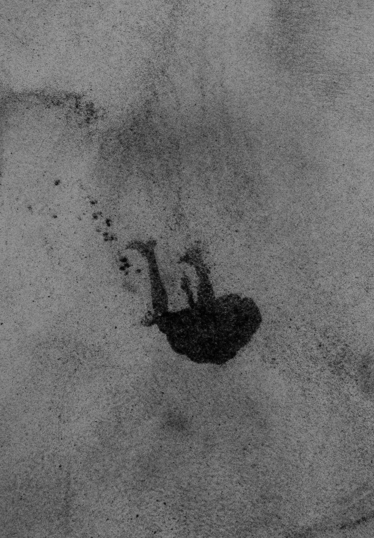 Untitled, graphite on paper, 20,3 x 14,5 cm, 2020