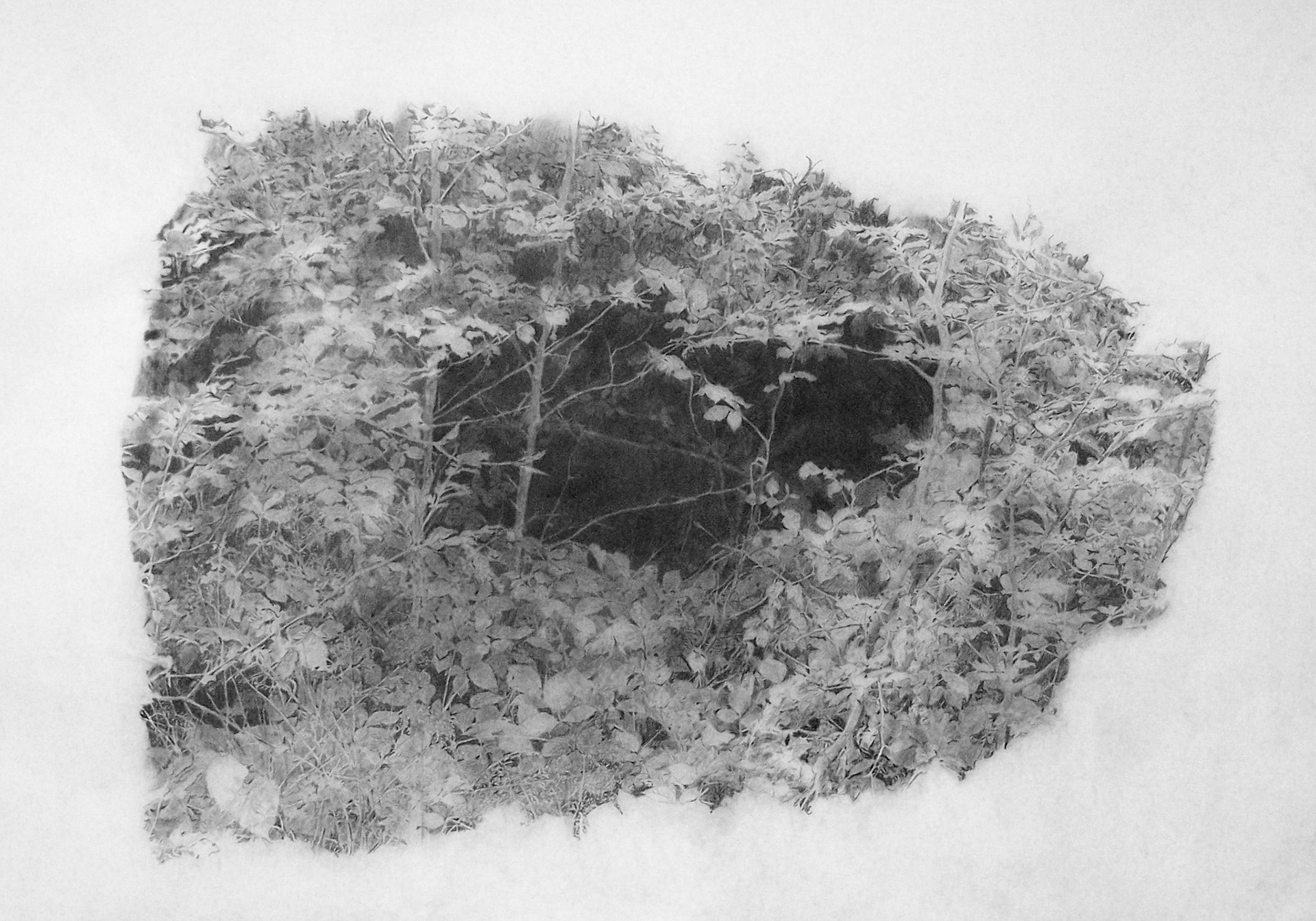 Hide and seek, graphite on tracing paper, 84 x 120 cm, 2010 