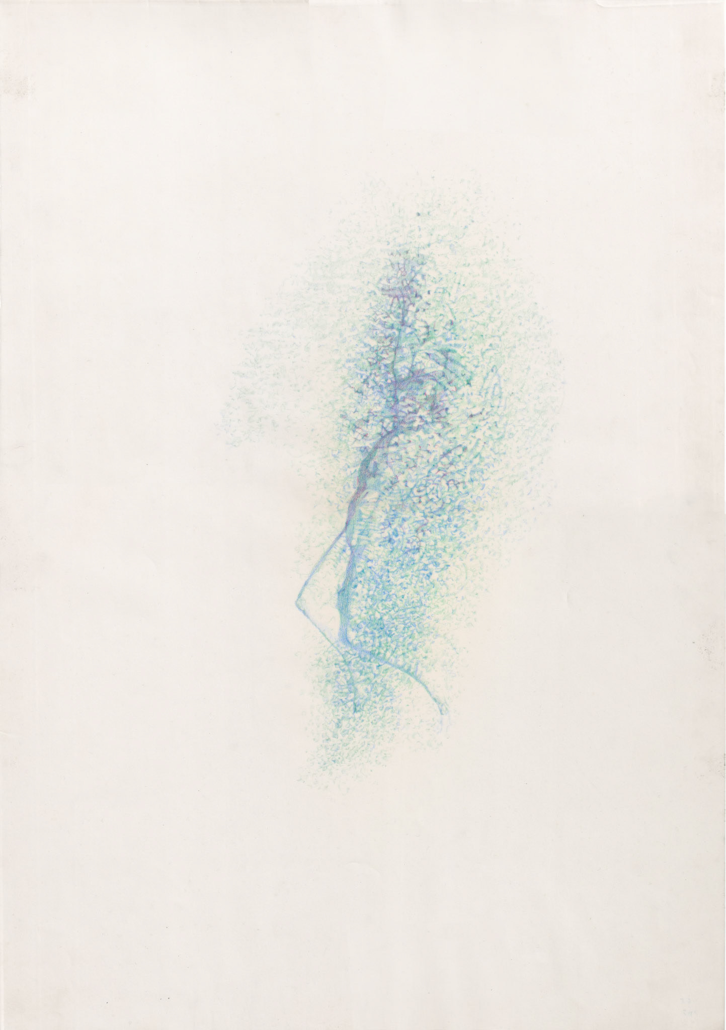 Covered (my skin), colored pencil on tracing paper, 50 x 30 cm, 2023