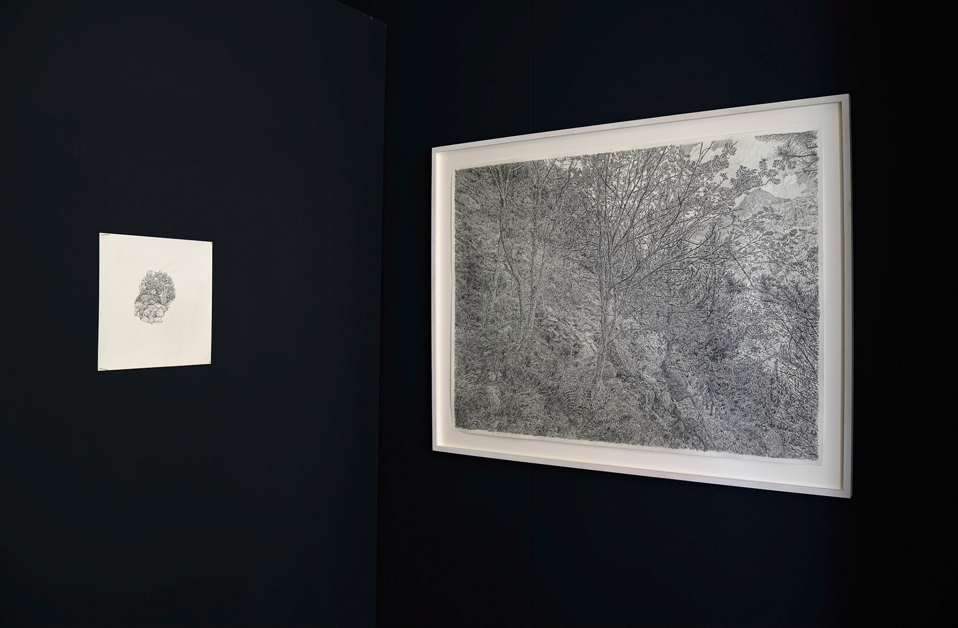 installation view Galerie Getekend 2022