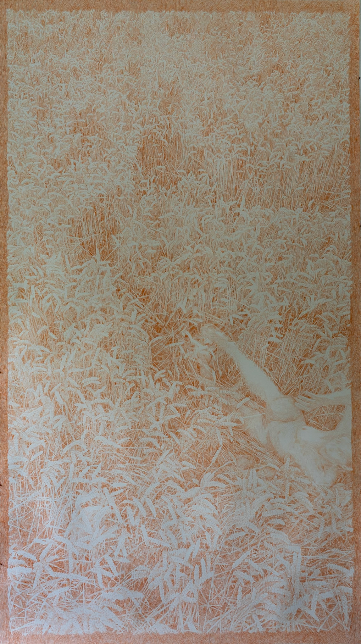 07.19, coloured pencil on paper, 427 x 240 cm, 2025 