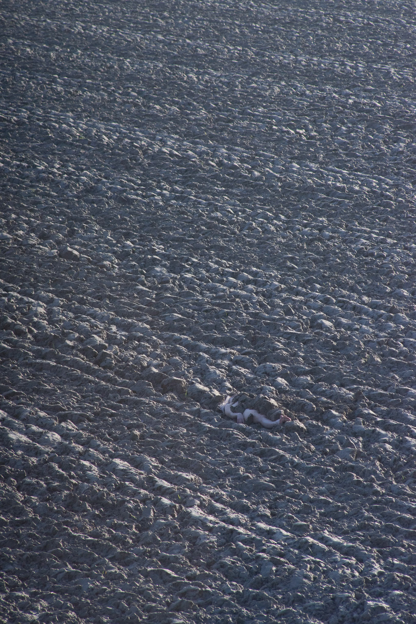 Covered (furrows), performance documentation, digital photo, January 2022