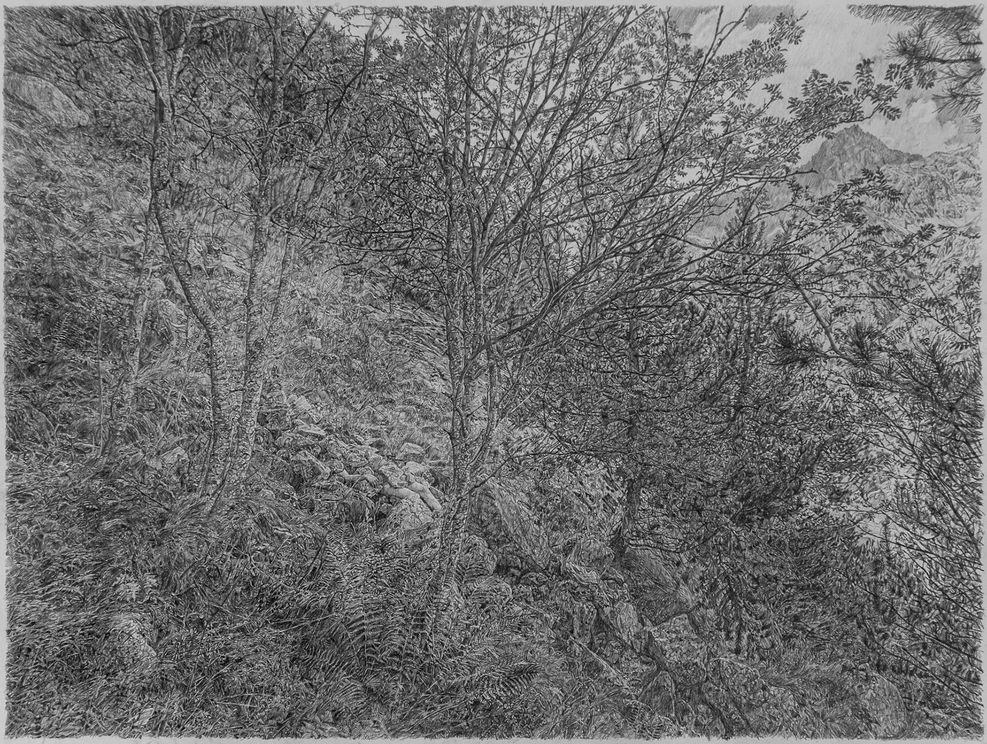 Covered (mountain rocks), graphite on paper, 75 x 100 cm, 2021