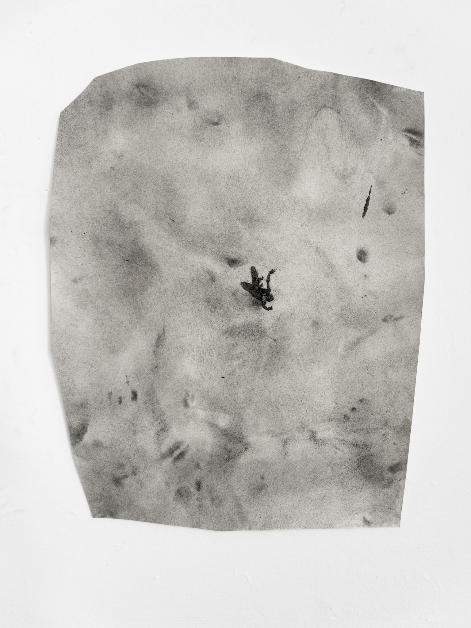 Untitled, graphite (powder) on paper, 55 x 40 cm, 2021