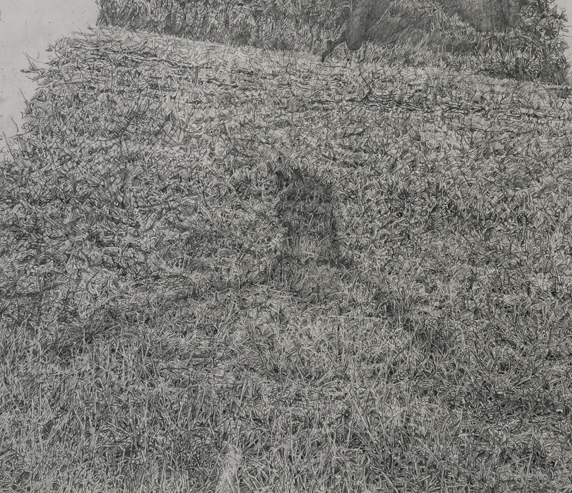 Untitled (detail), graphite on paper, 80 x 90 cm, 2020 (in private collection)