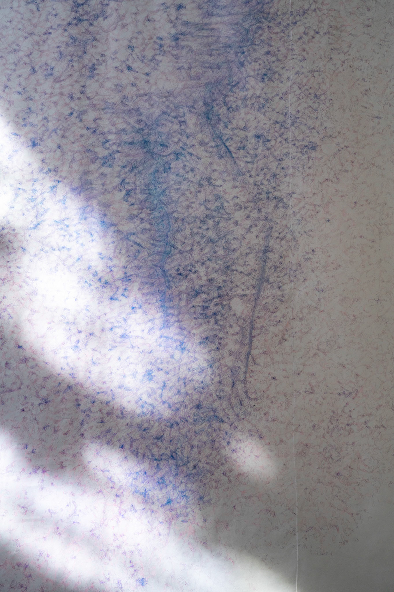 Covered (in between shoulder blades) - detail with sunlight, colored pencil on tracing paper, bookbinding glue, 531 x 376 cm (total length: appr. 1000 cm), 2023