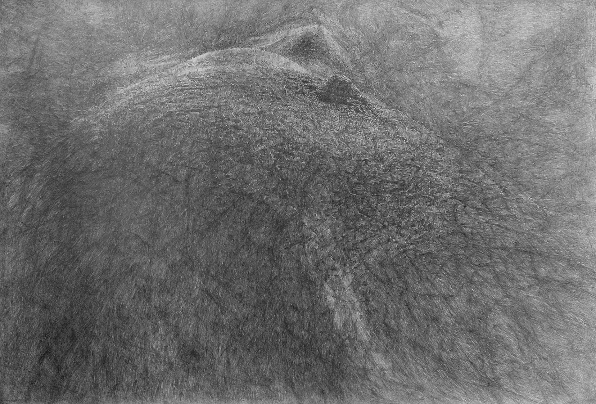 Untitled, graphite on paper, 150 x 222 cm, 2013