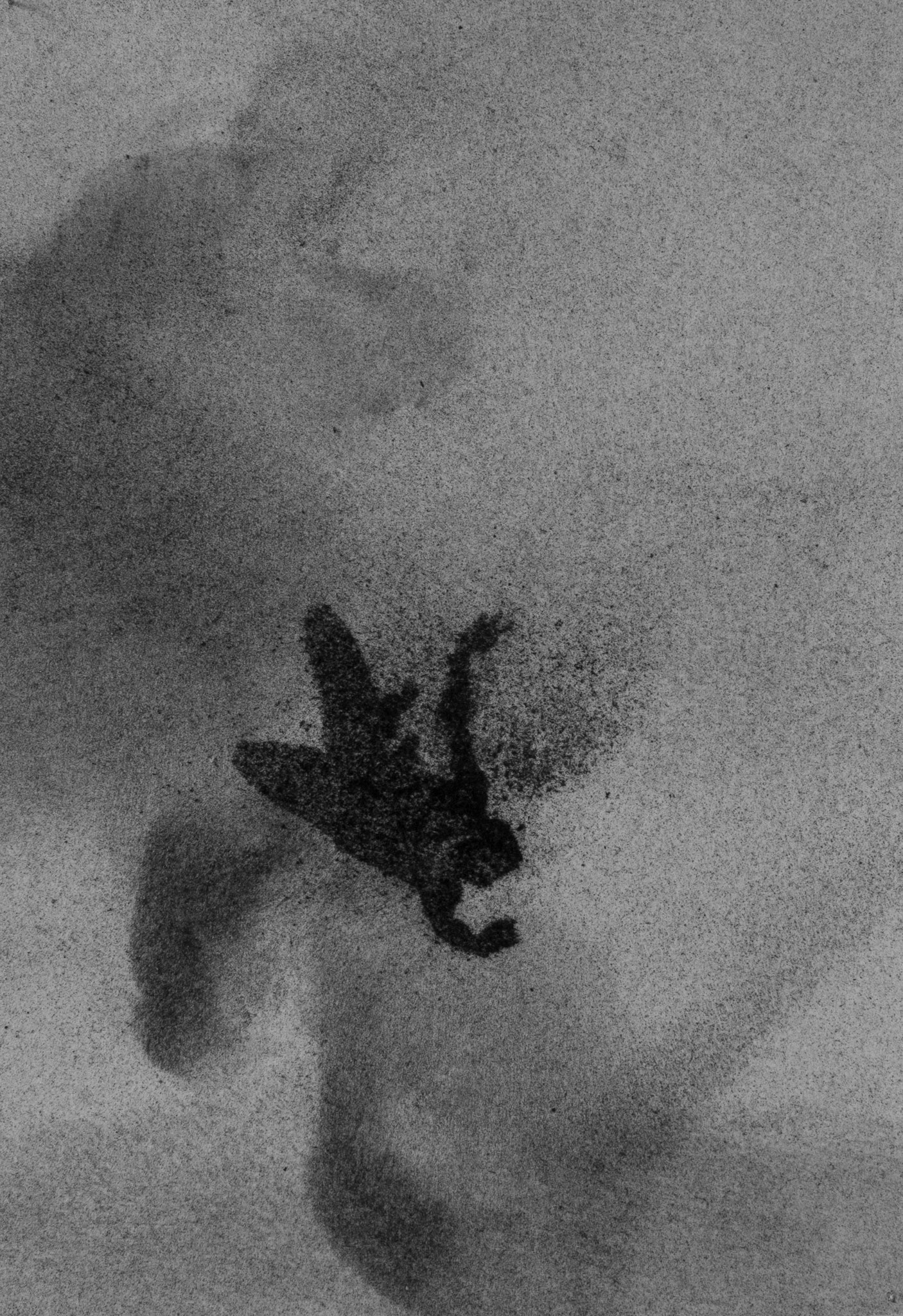 Untitled, graphite on paper, 20,3 x 14,5 cm, 2020