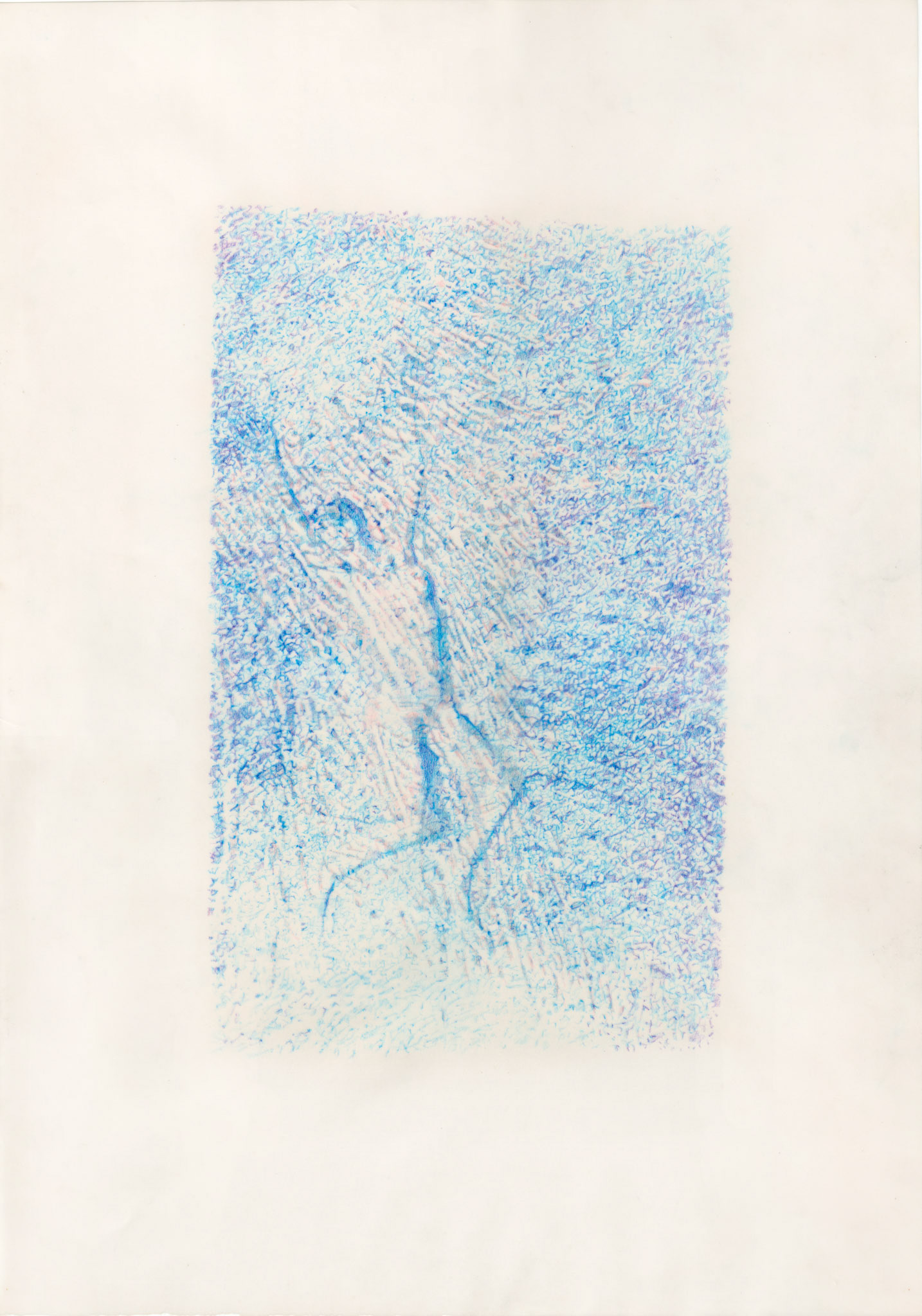 Covered (my skin), colored pencil on tracing paper, 50 x 30 cm, 2023