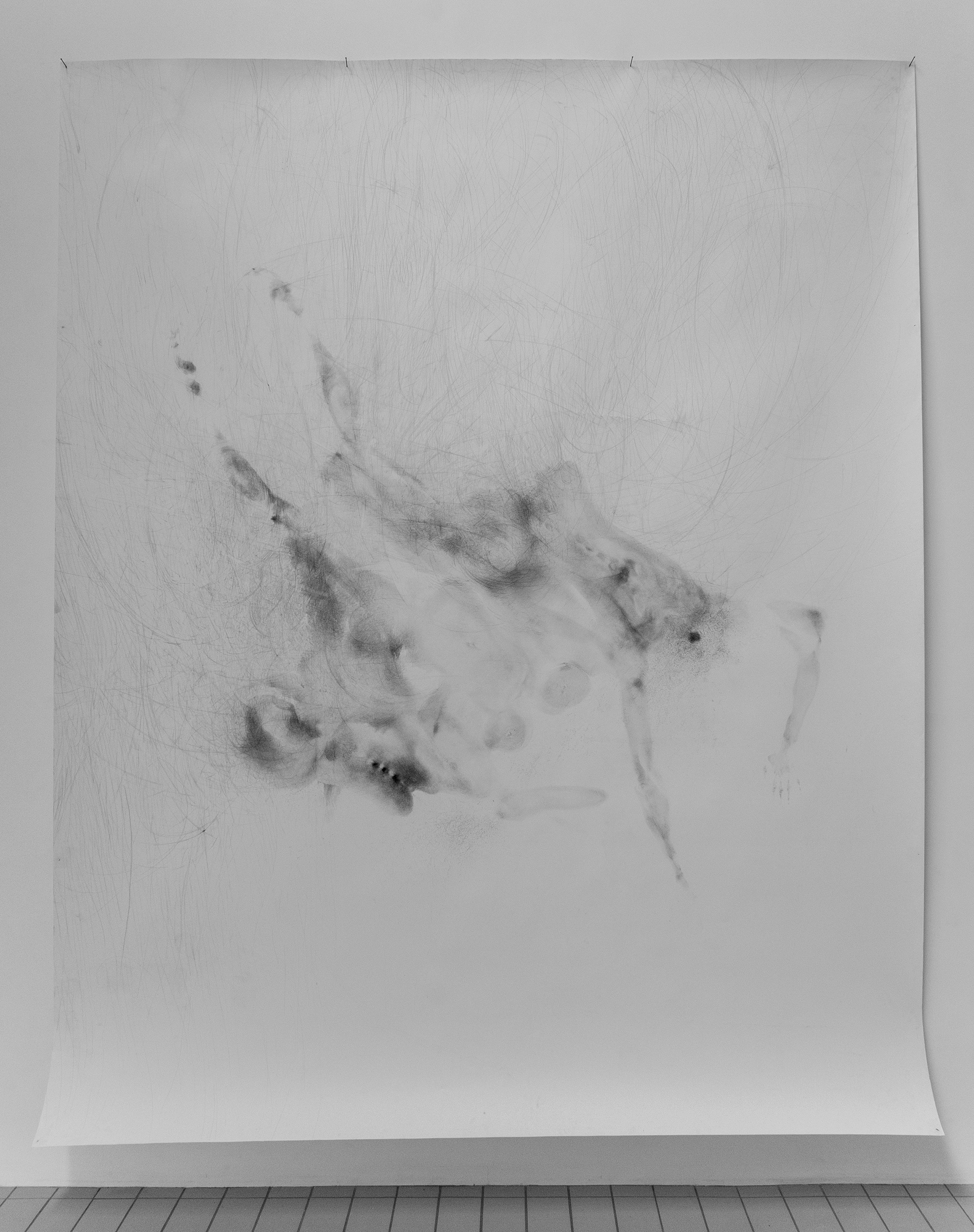Untitled, graphite on paper, 295 x 240 cm, 2017