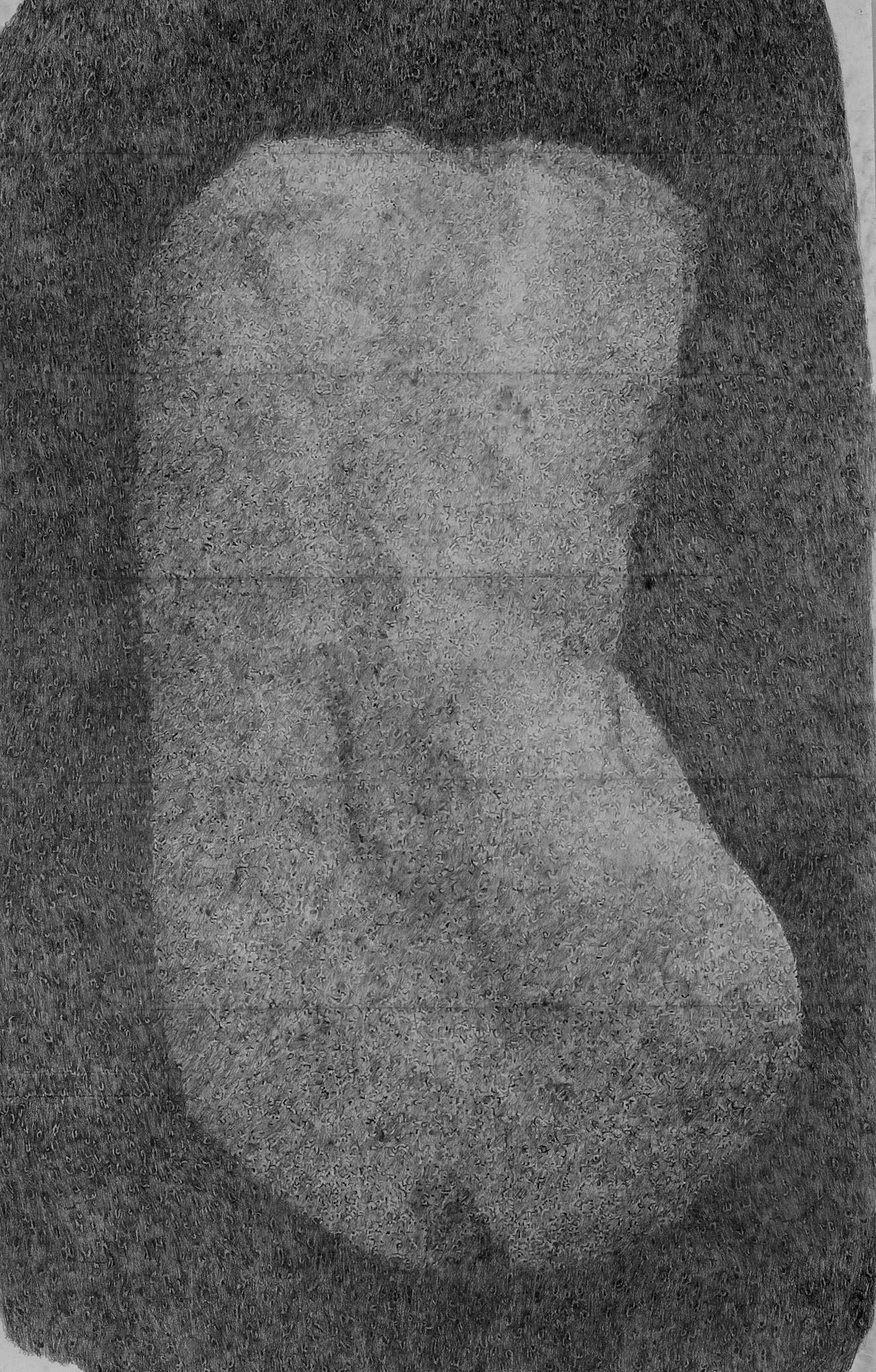 Rug 1 (Back 1),  graphite on paper, 250 x 150 cm, 2011, photo © Mechteld Jansen