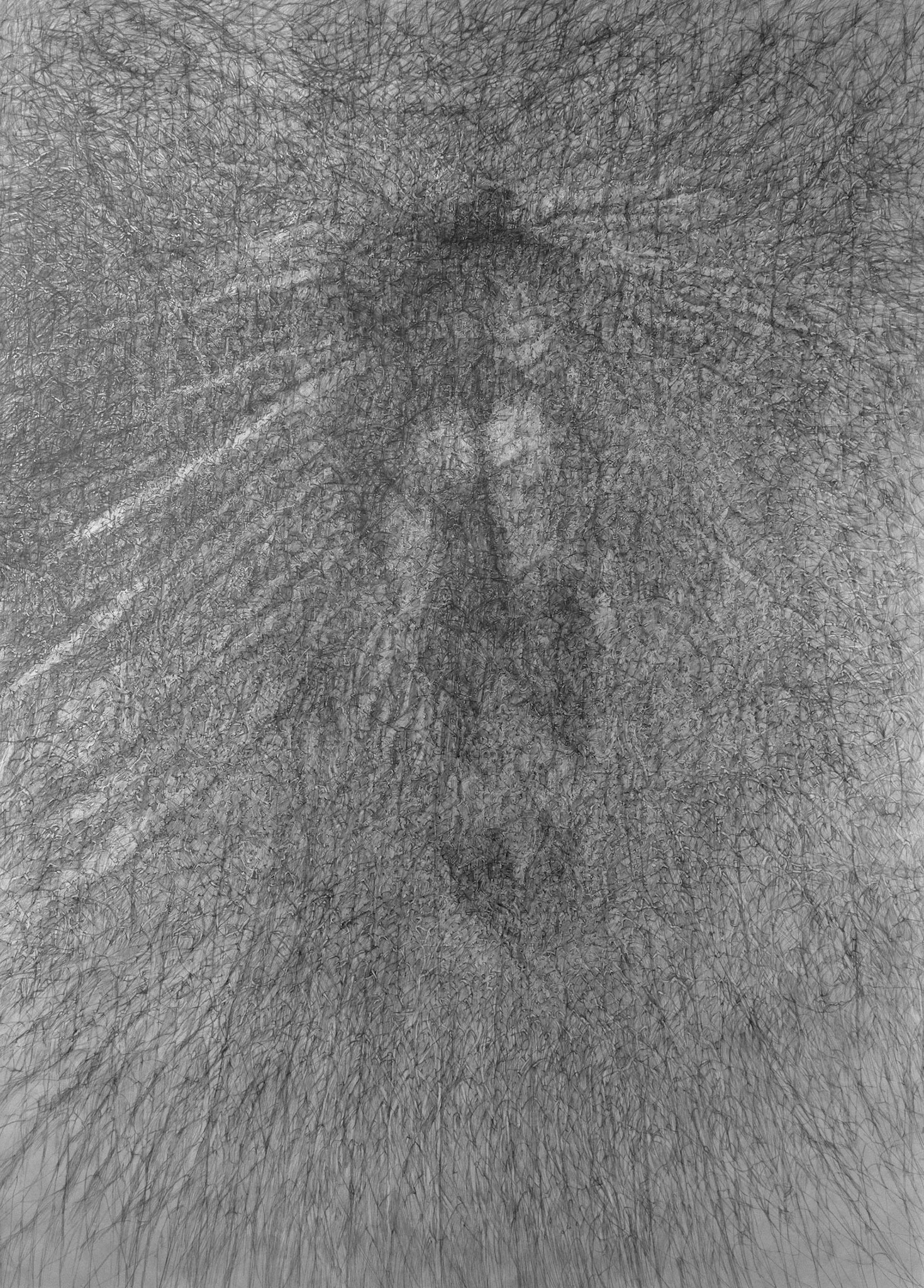 Duik 1 (Dive 1), graphite on paper, 365 x 240 cm, 2015
