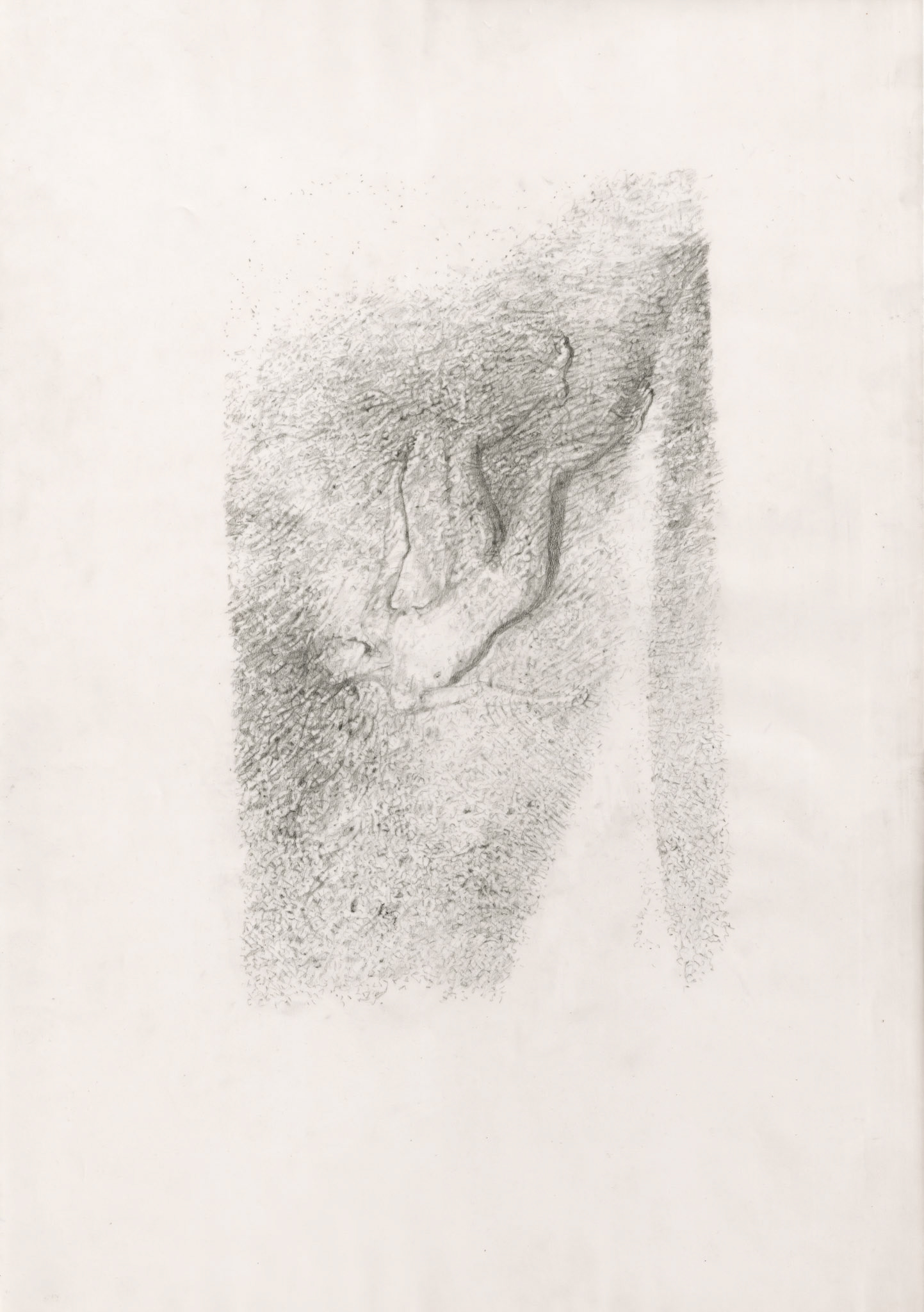  Covered (my skin), graphite on tracing paper, 50 x 30 cm, 2023