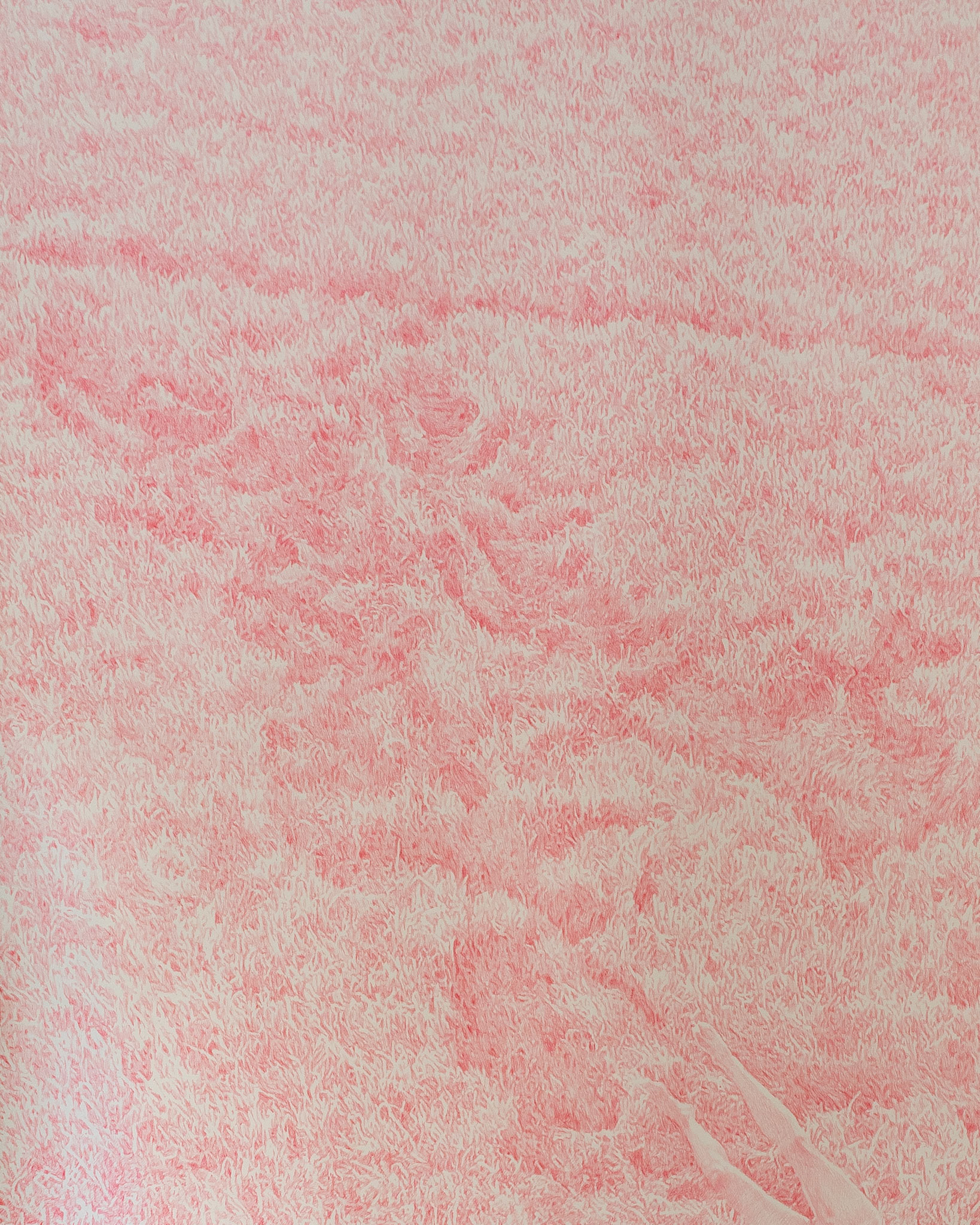 02.08 (detail), coloured pencil on paper, 427 x 240 cm, 2025 