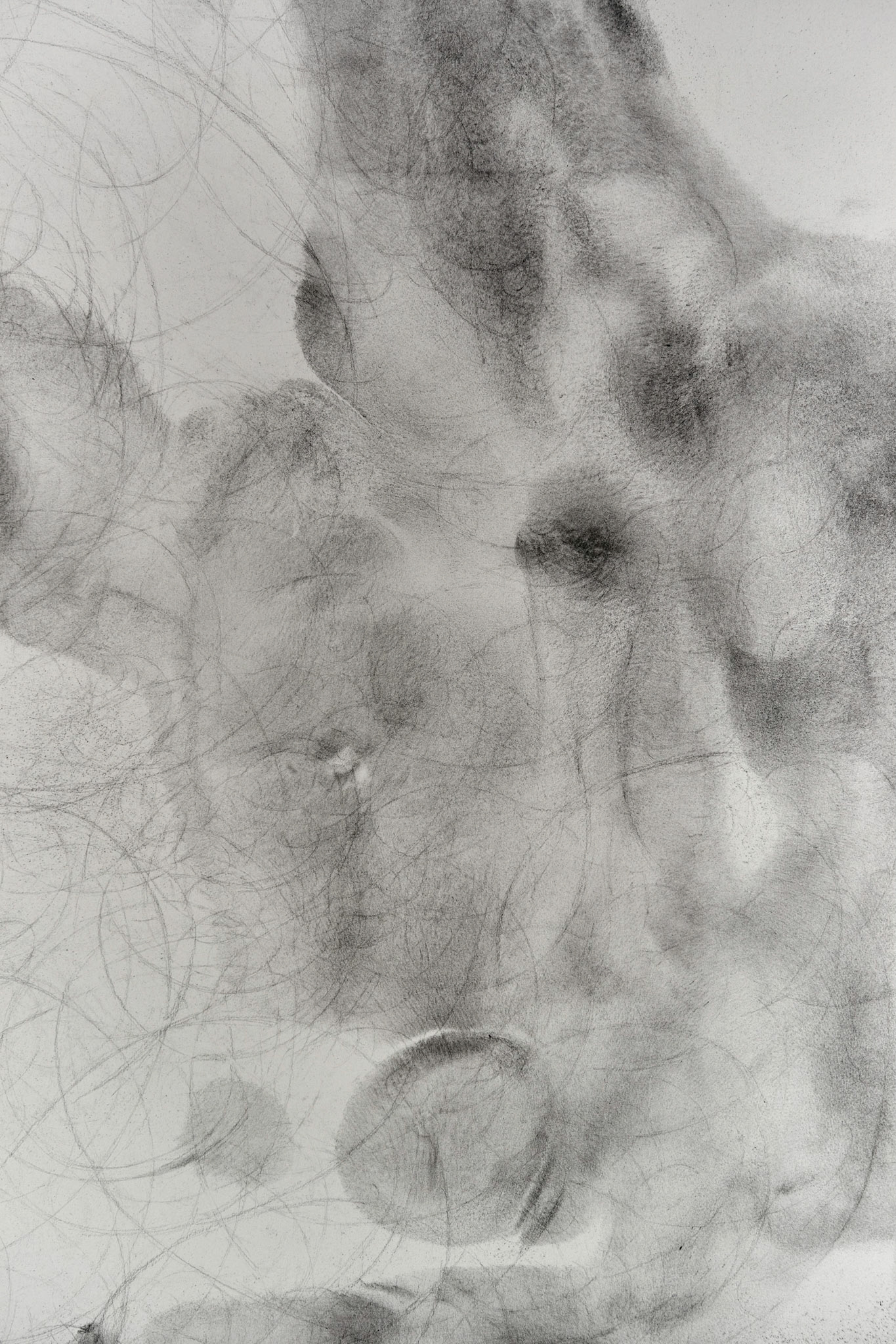 And the revolution of the spheres carries them round, and they behold the things beyond, graphite on paper (detail), 150 x 380 cm, 2016