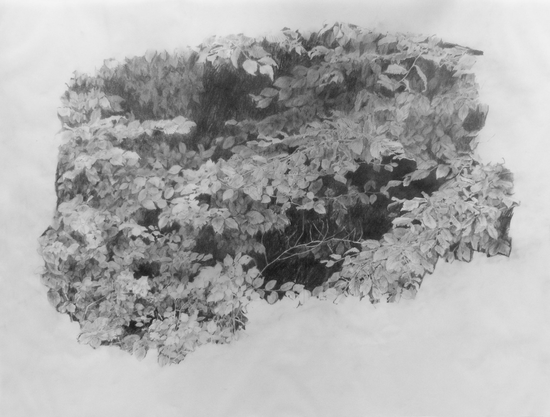 Hide and seek, graphite on tracing paper, 84 x 120 cm, 2010 
