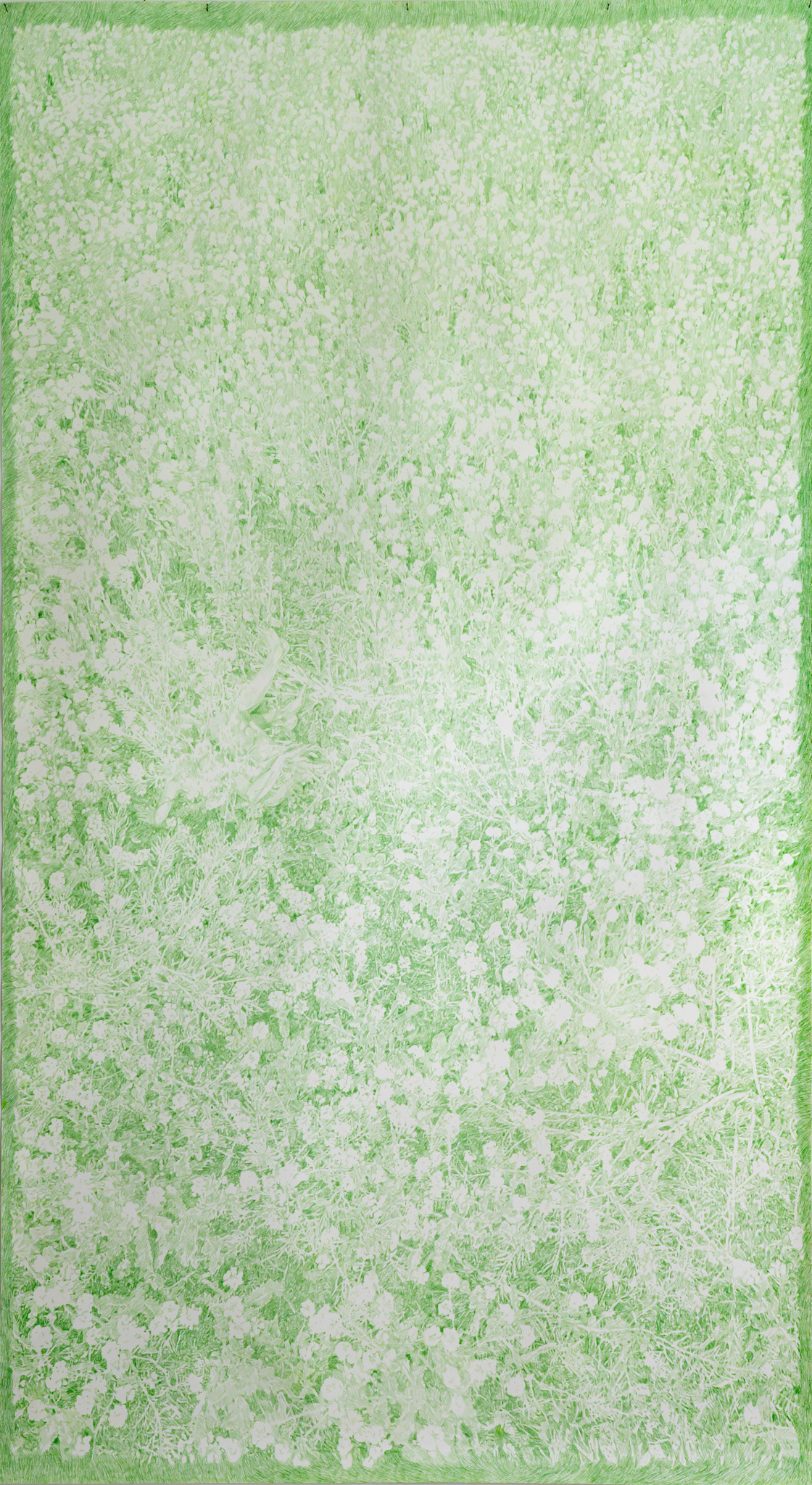 Untitled (April 30), coloured pencil (Grass Green) on paper, 427 x 235 cm, 2025 (based on drone performance registration July 19 2024)