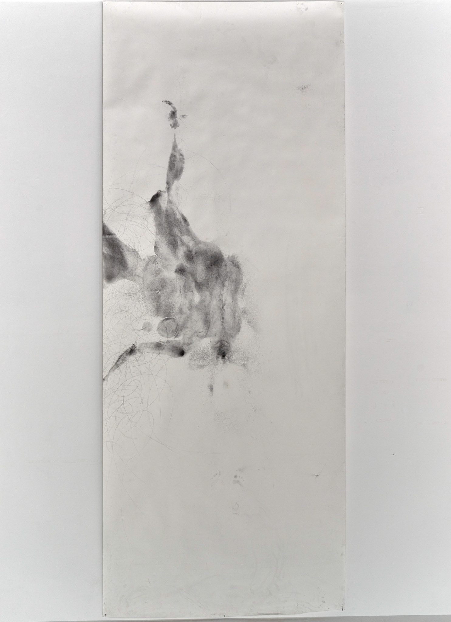 And the revolution of the spheres carries them round, and they behold the things beyond, graphite on paper, 150 x 380 cm, 2016