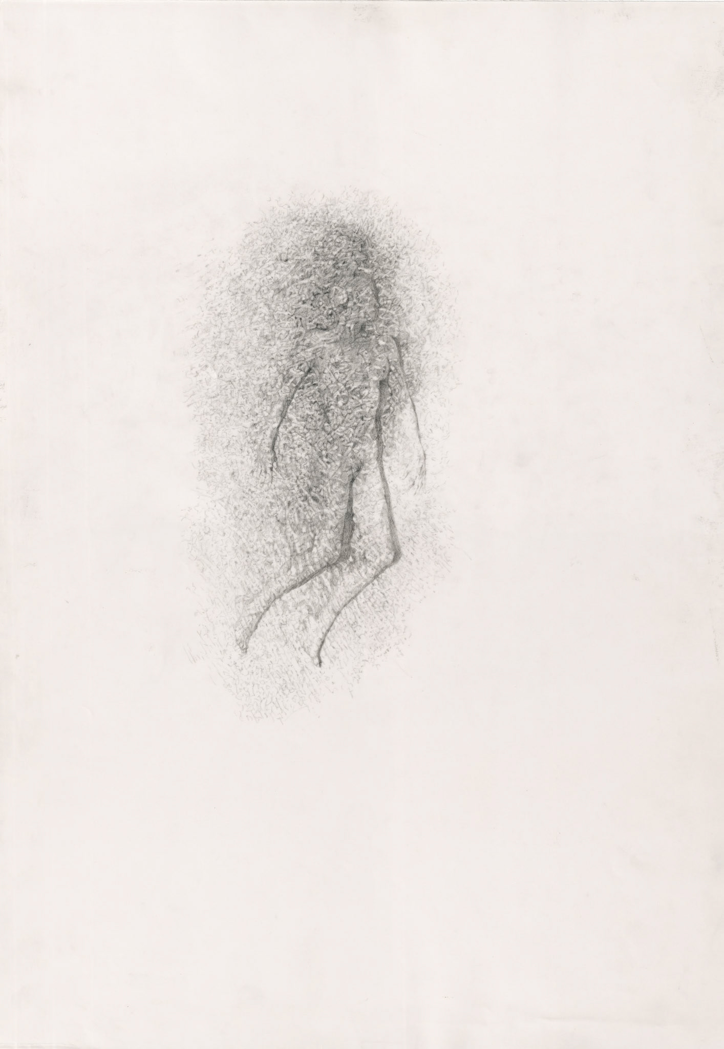  Covered (my skin), graphite on tracing paper, 50 x 30 cm, 2023