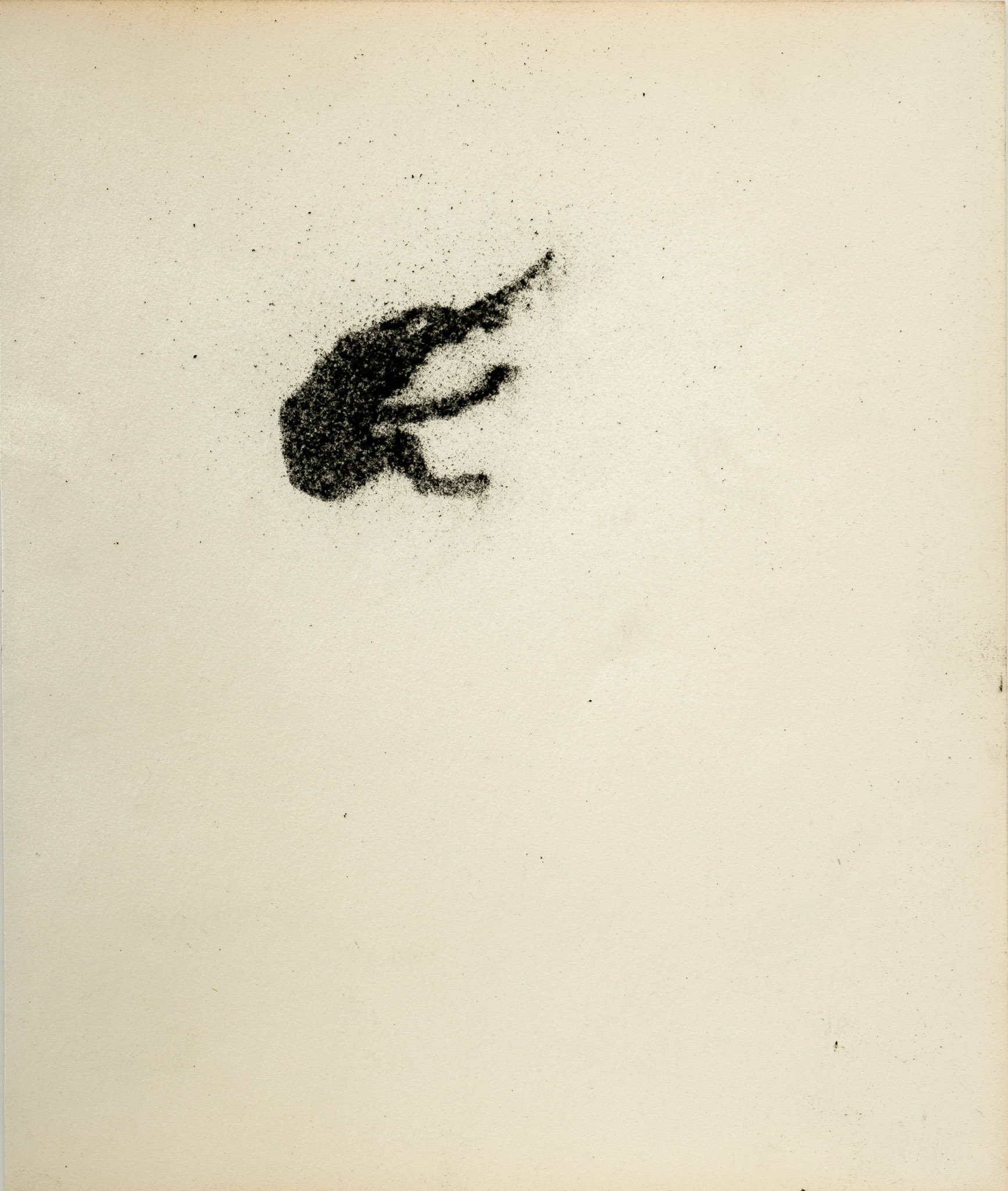 Untitled, graphite(powder) on paper, 23,9 x 20 cm, 2020
