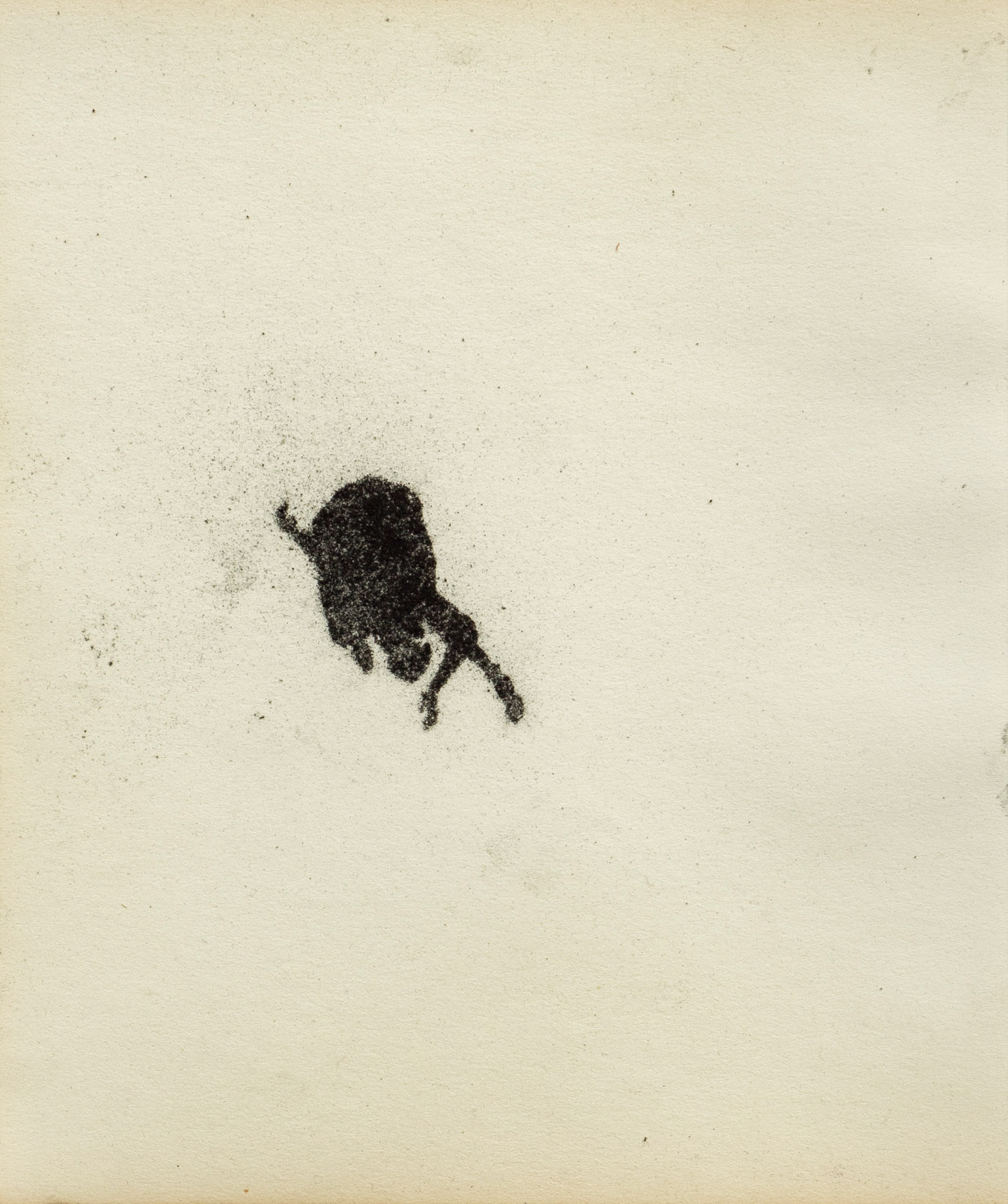Untitled (from a series of 20), graphite(powder) on paper, 23,9 x 20 cm, 2020