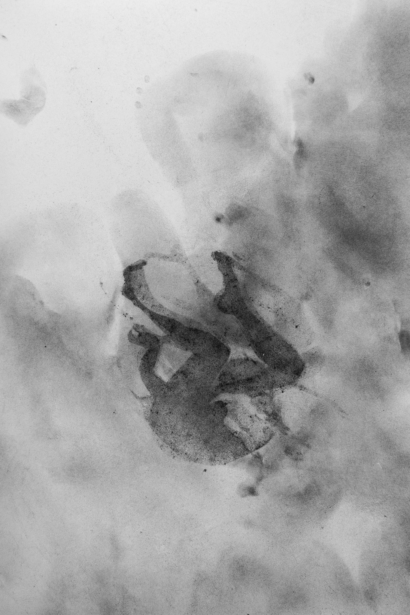 Untitled, graphite (powder) on paper, 75 x 50 cm, 2019