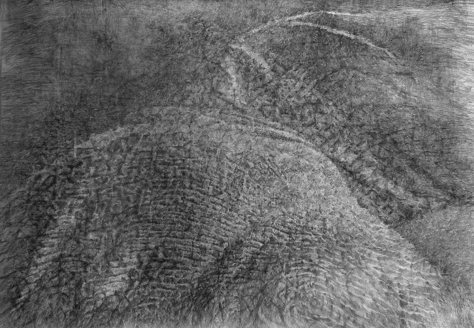 Grafietjurk (Graphite dress), graphite on paper, 150 x 212 cm, 2014