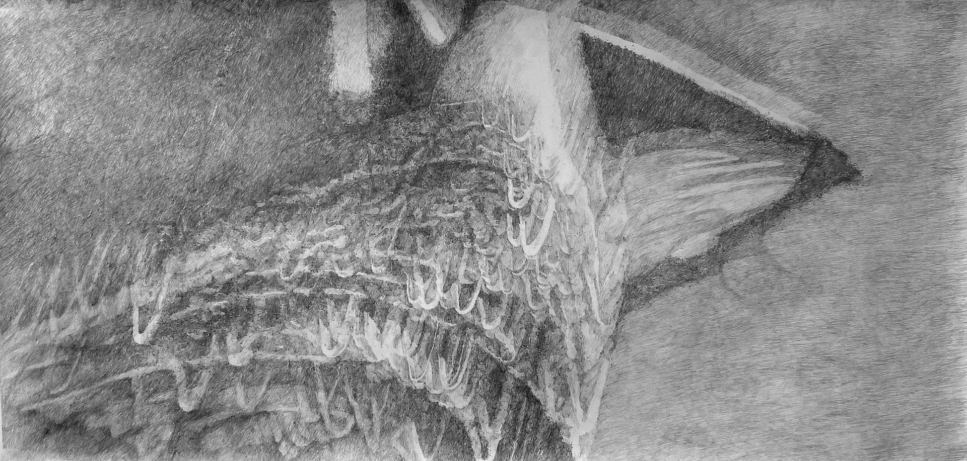 Grafietjurk (Graphite dress), graphite on paper, 150 x 315 cm, 2014