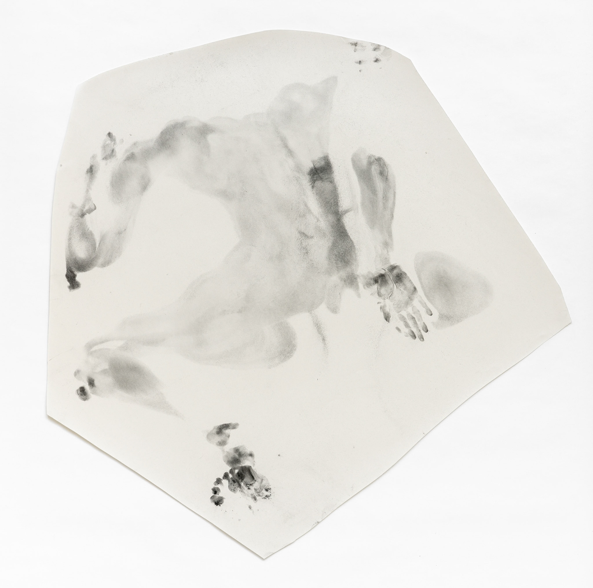 Body Print, graphite powder on paper, life size, selection  2022-2023