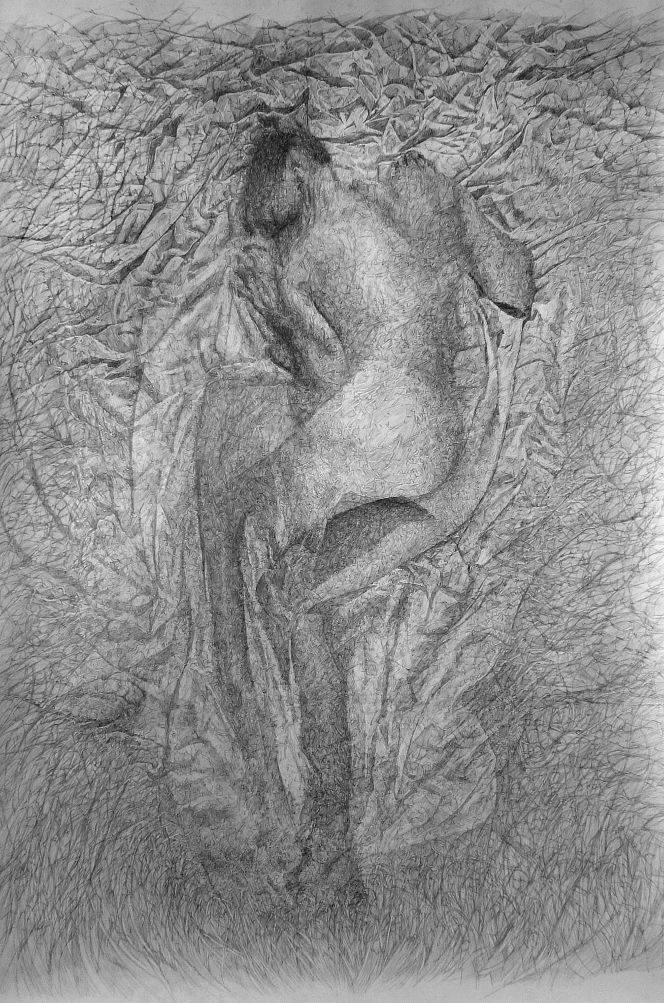 Untitled, ggraphite on paper, 375 x 240 cm, 2015/2016