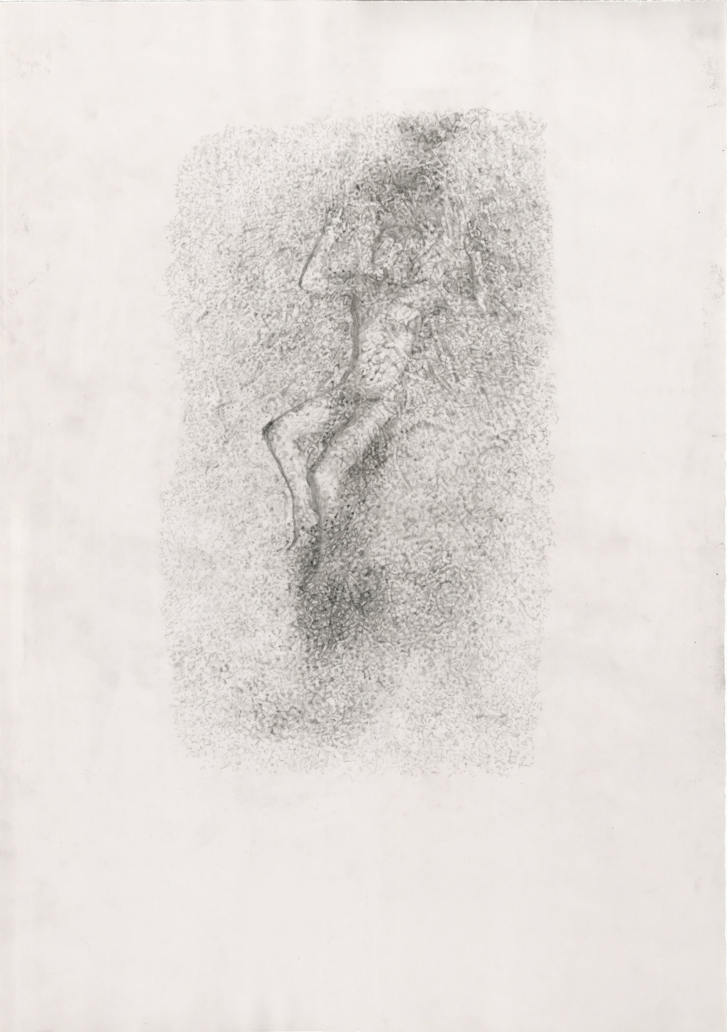  Covered (my skin), graphite on tracing paper, 50 x 30 cm, 2023