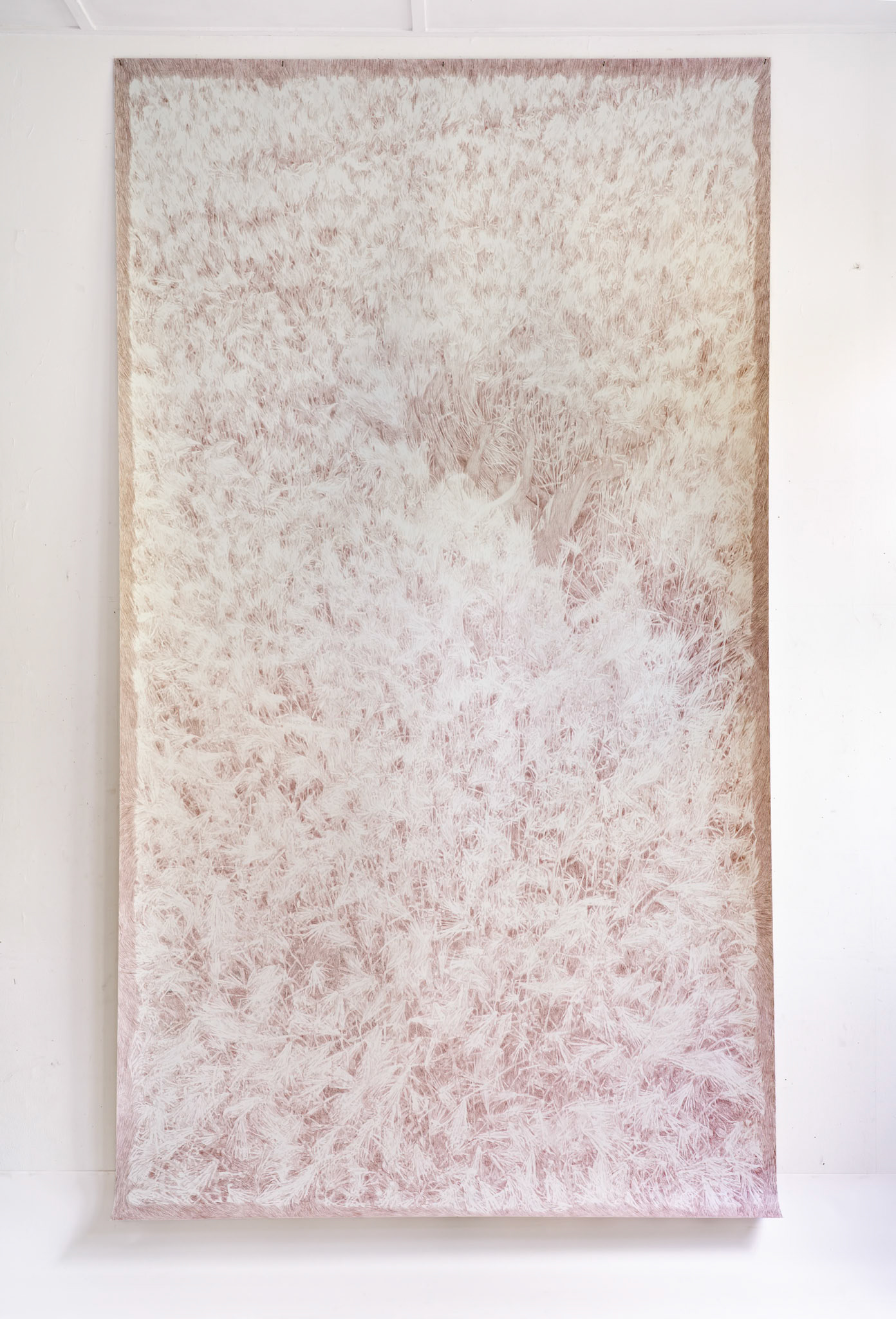 Untitled (June 27), coloured pencil (Taupe) on paper, 427 x 240 cm, 2025 (based on drone performance registration June 27 2024)