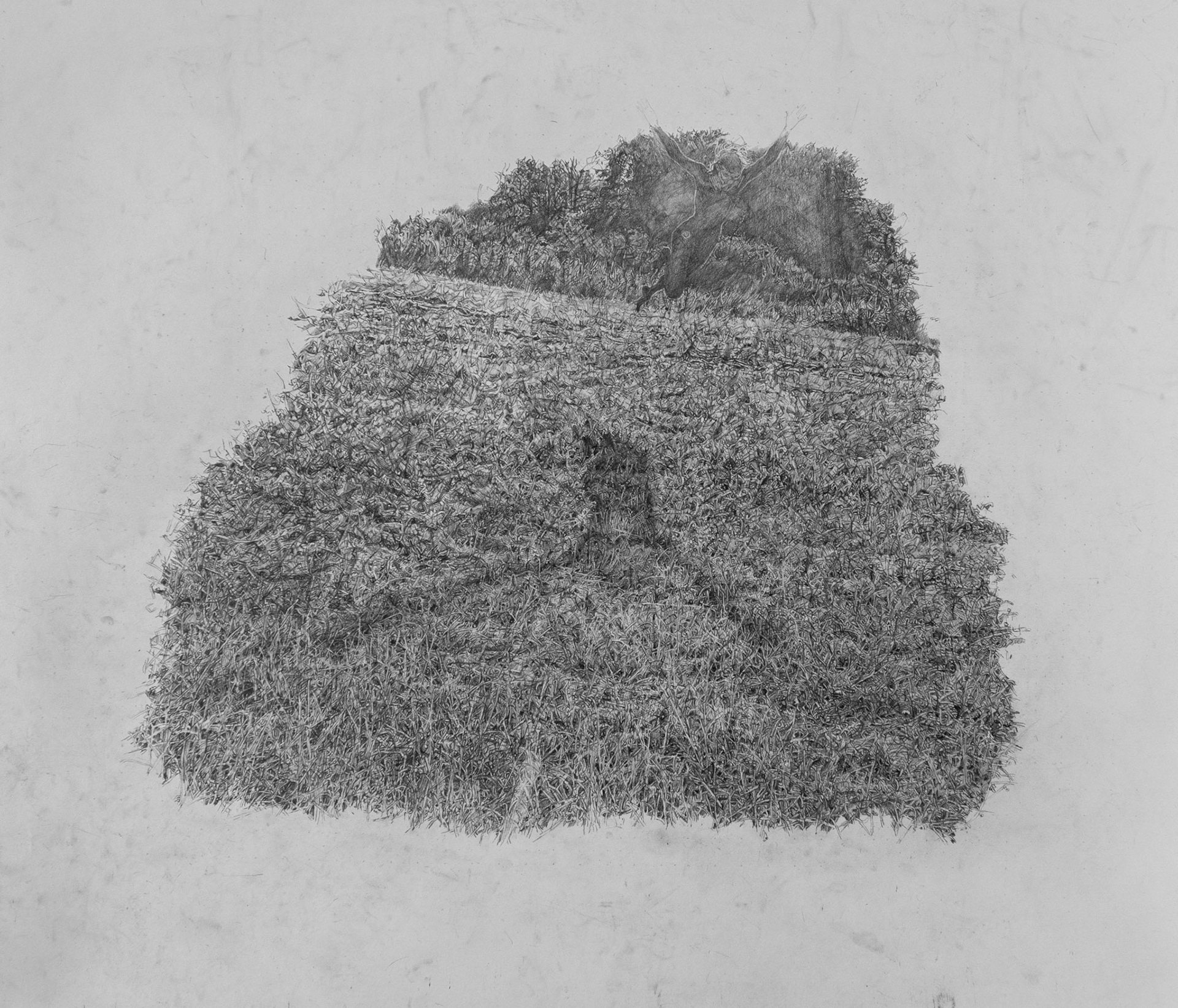 Untitled, graphite on paper, 80 x 90 cm, 2020 (in private collection)