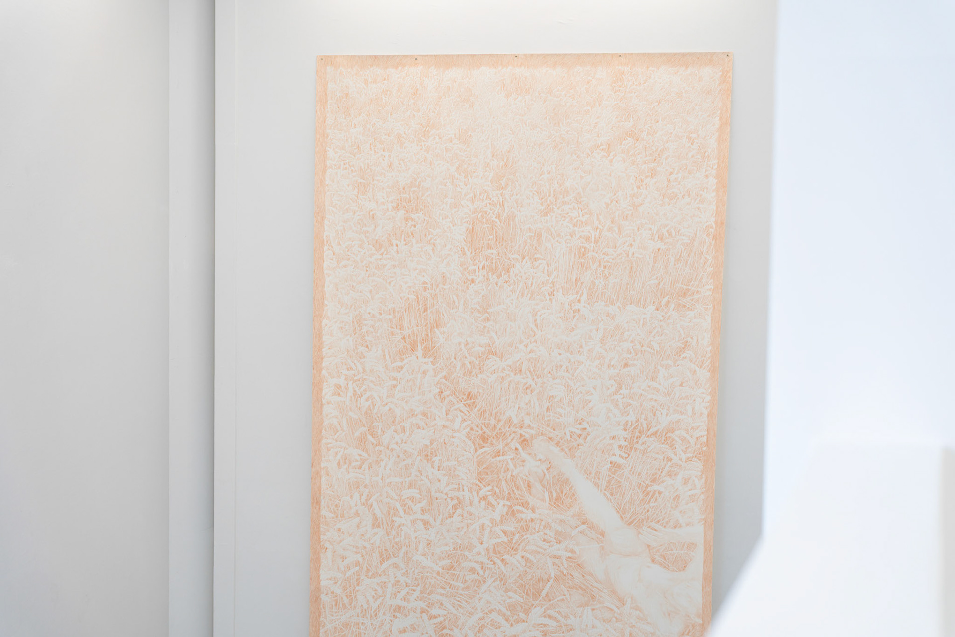 Untitled (July 19), coloured pencil on paper, 427 x 240 cm, 2025, Drawing Centre Diepenheim 2026, photo Jeffrey van Houten