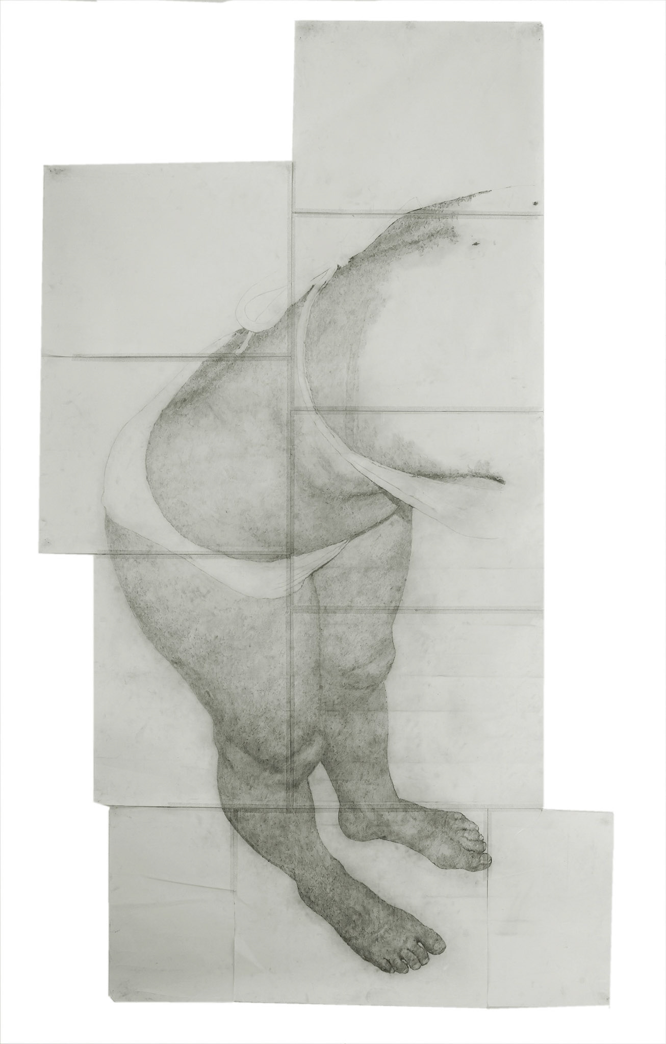 Untitled, graphite on sketching paper, tape, 250 x 149 cm, 2010