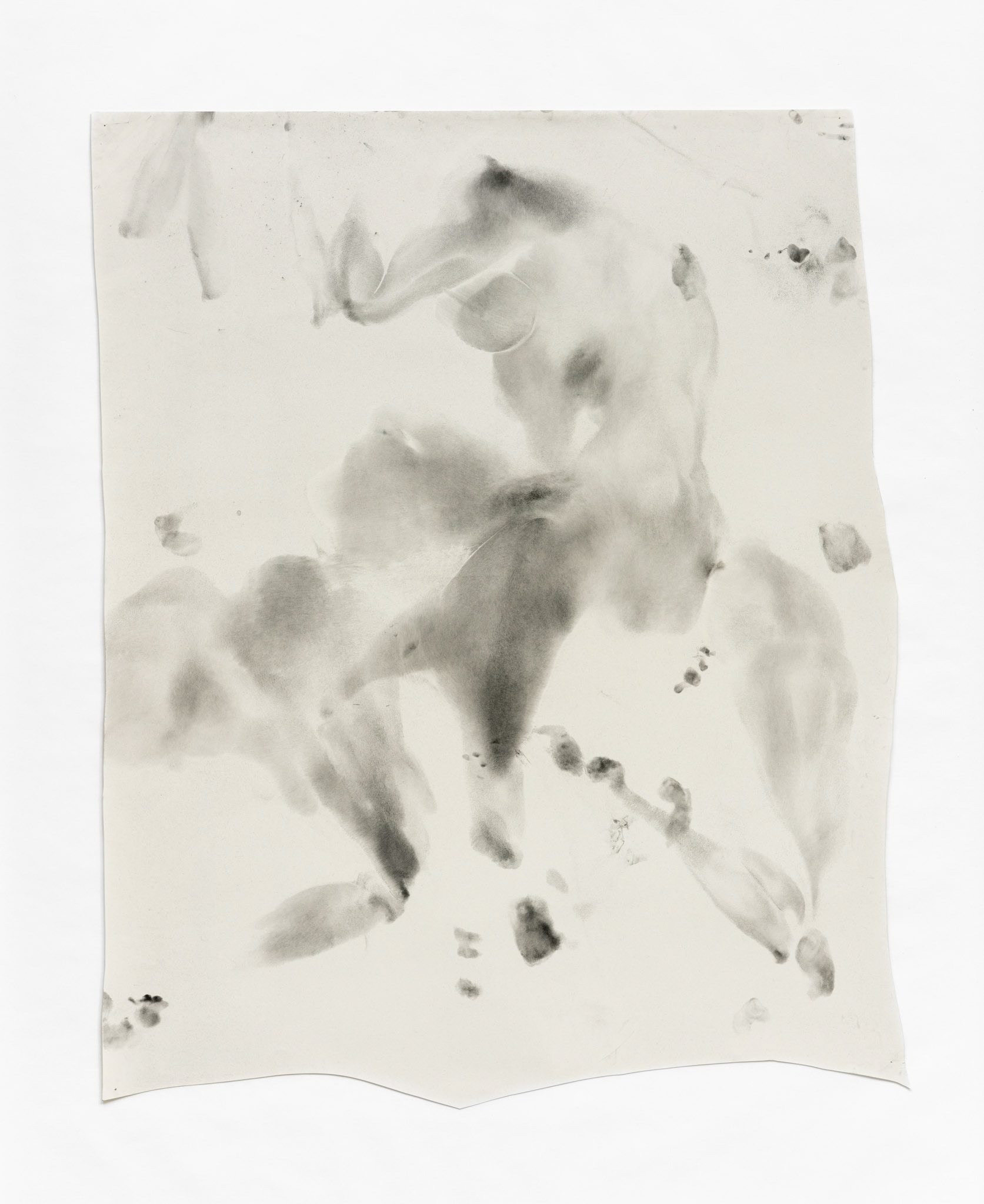 Body Print, graphite powder on paper, life size, selection  2022-2023