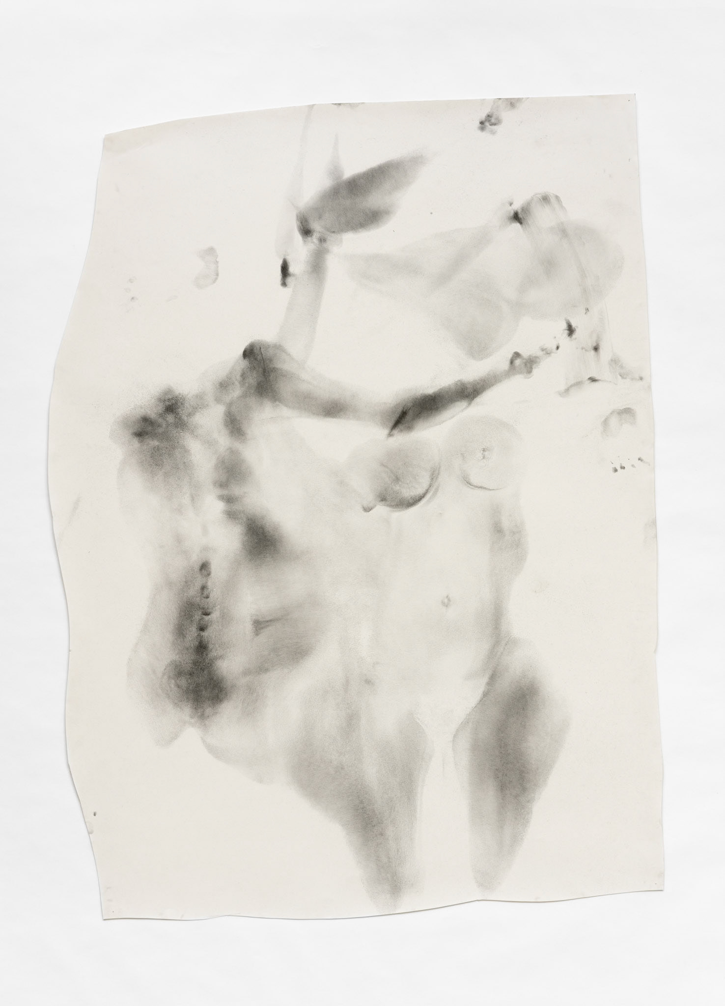 Body Print, graphite powder on paper, life size, selection  2022-2023