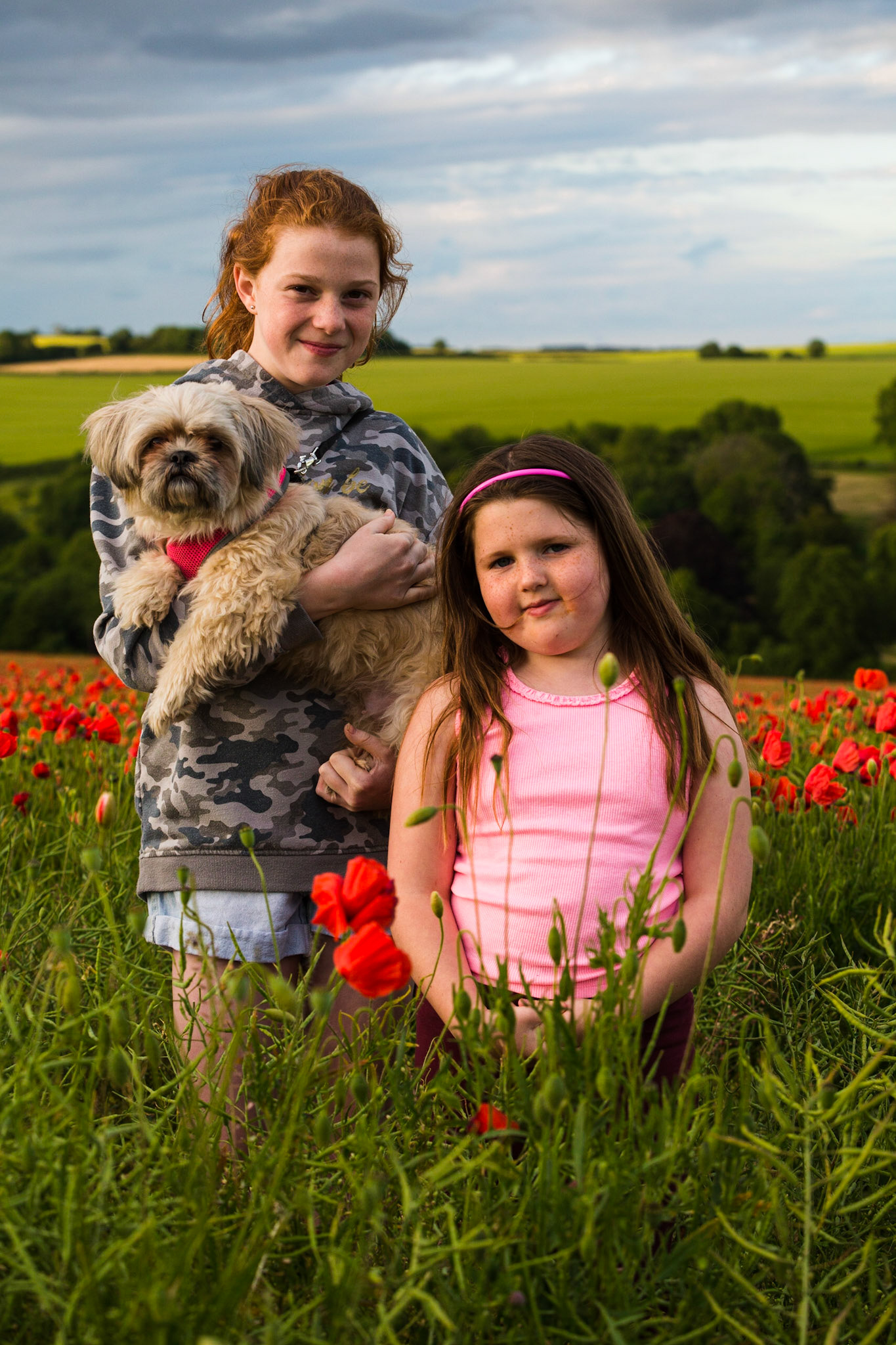 Red Poppy field Near Dorchester Dorset in June during a spell of stormy weather